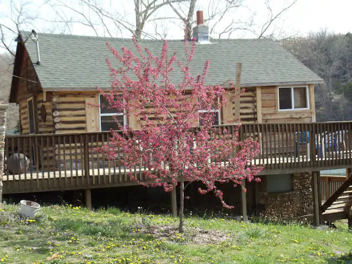 Ozark Estate with Private Cabins