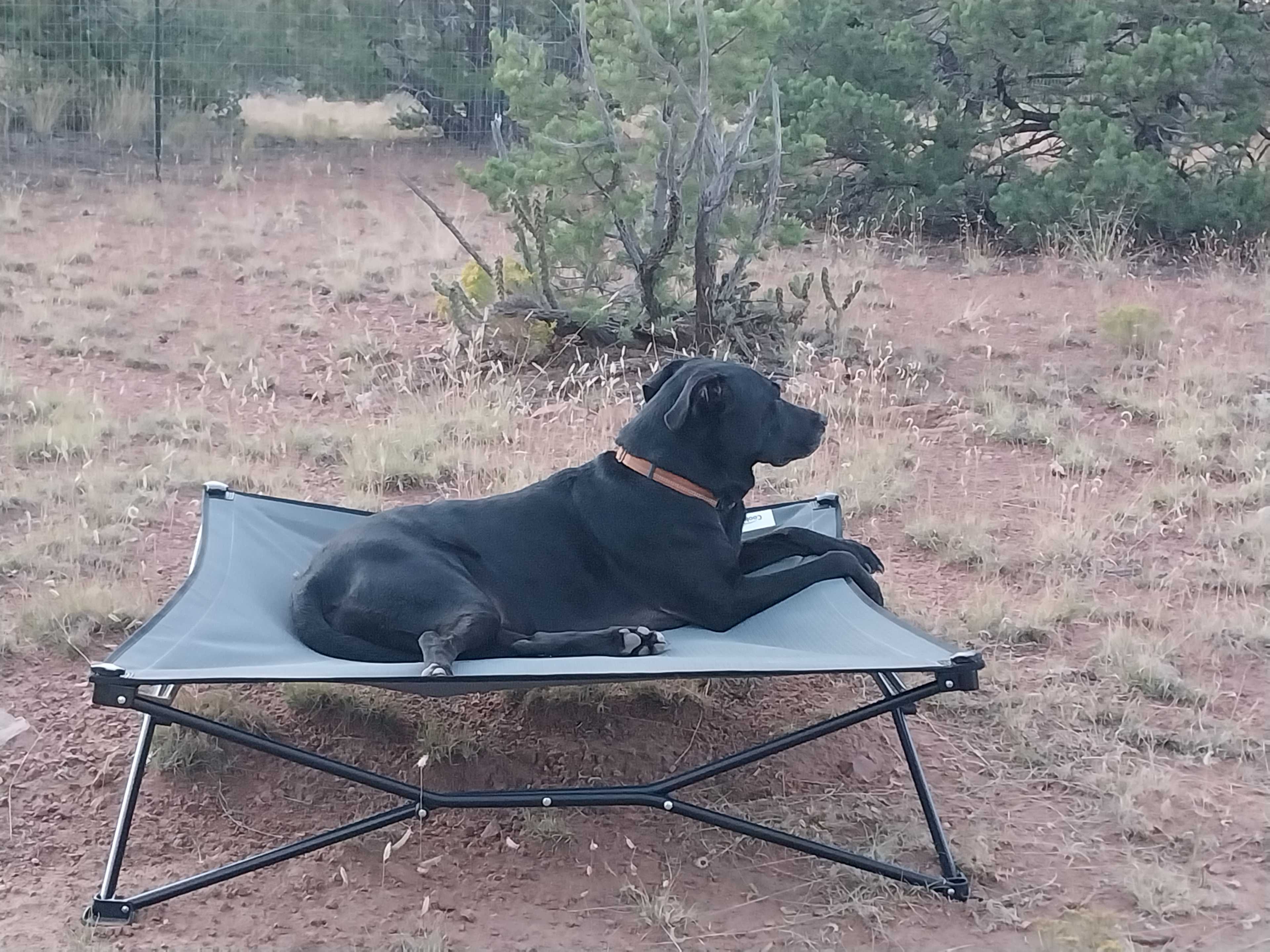Santa Fe Ridgetop Oasis - Hike In