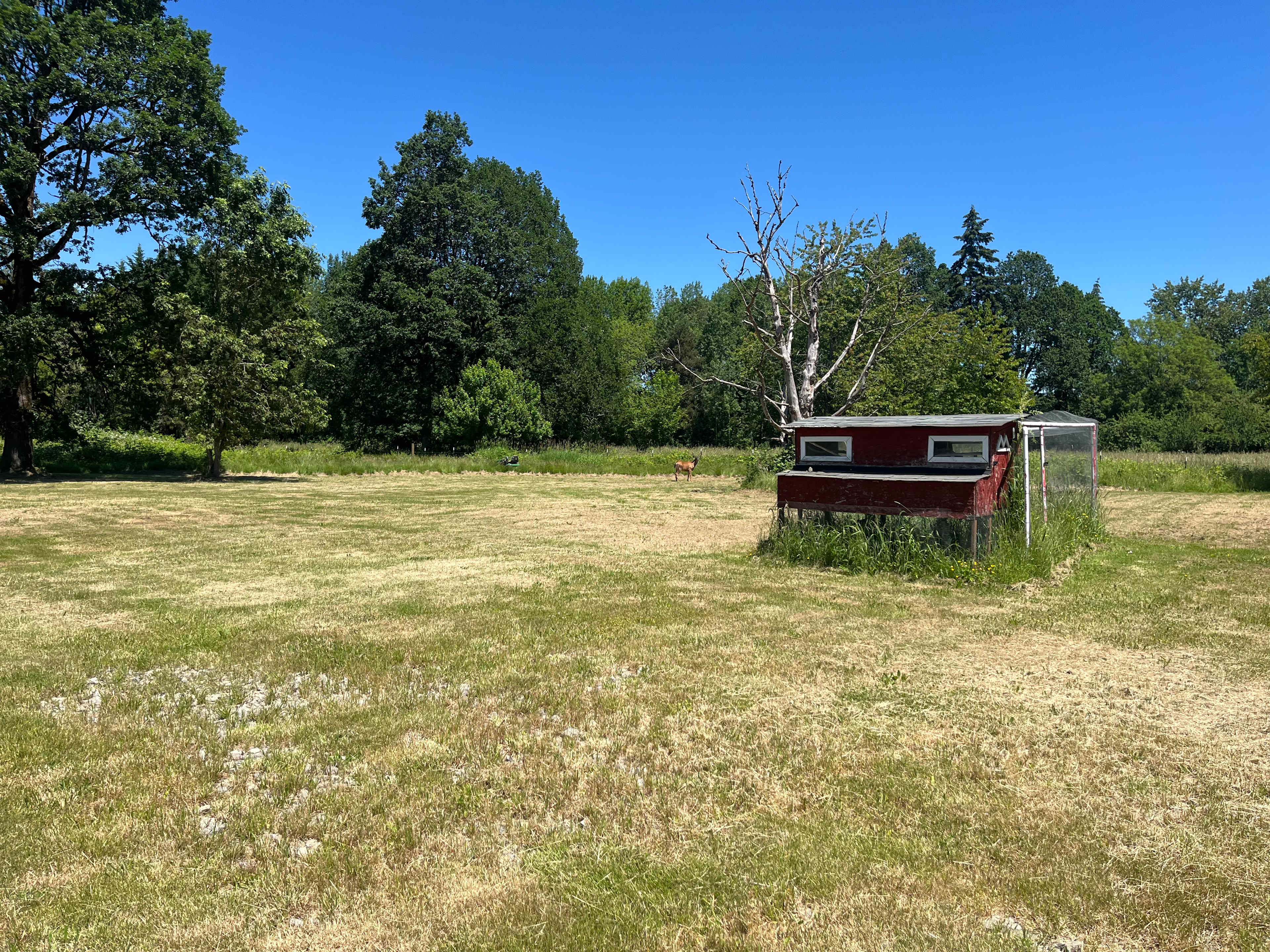 H & H Homestead