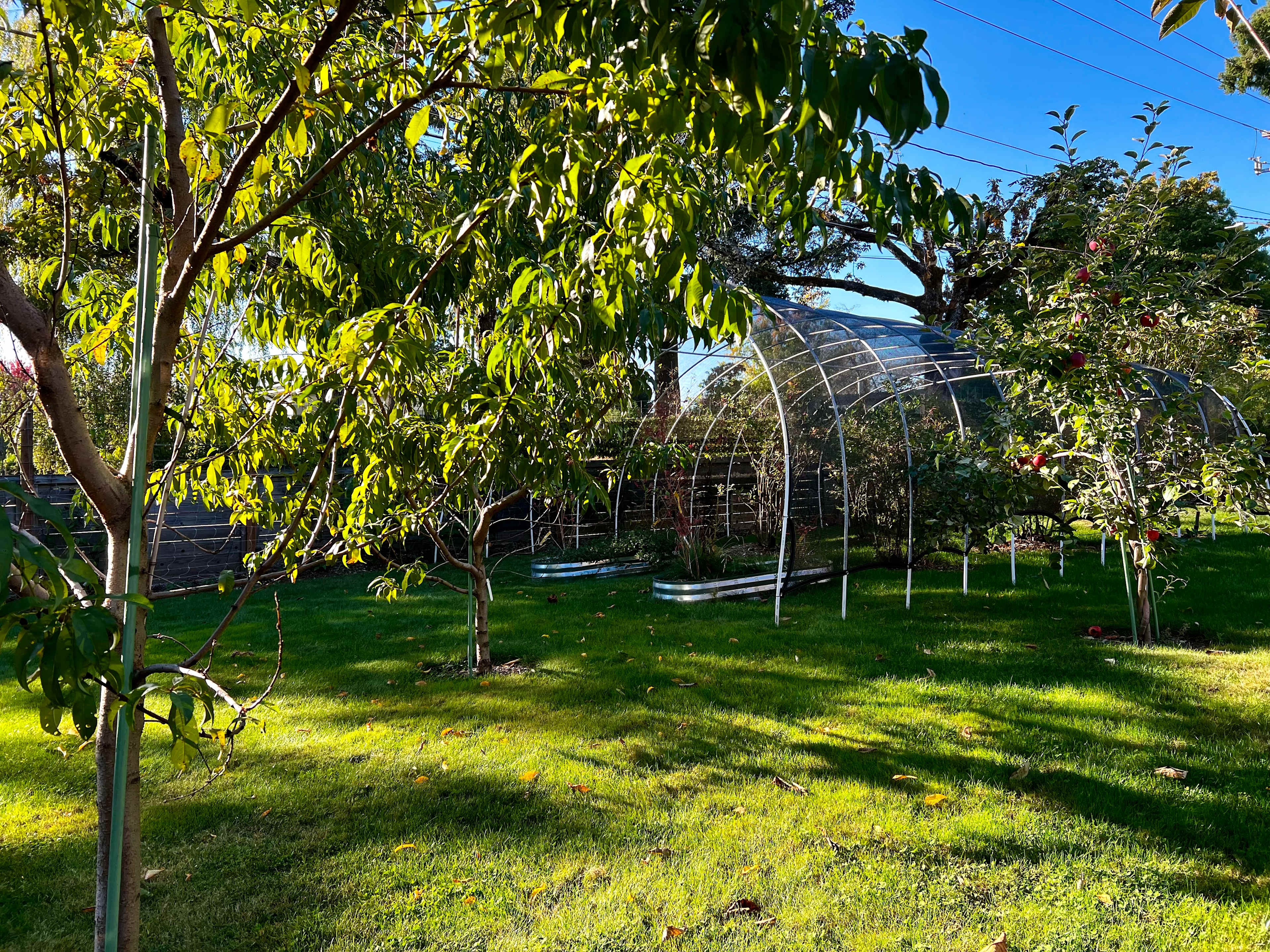 Blissful West Hills