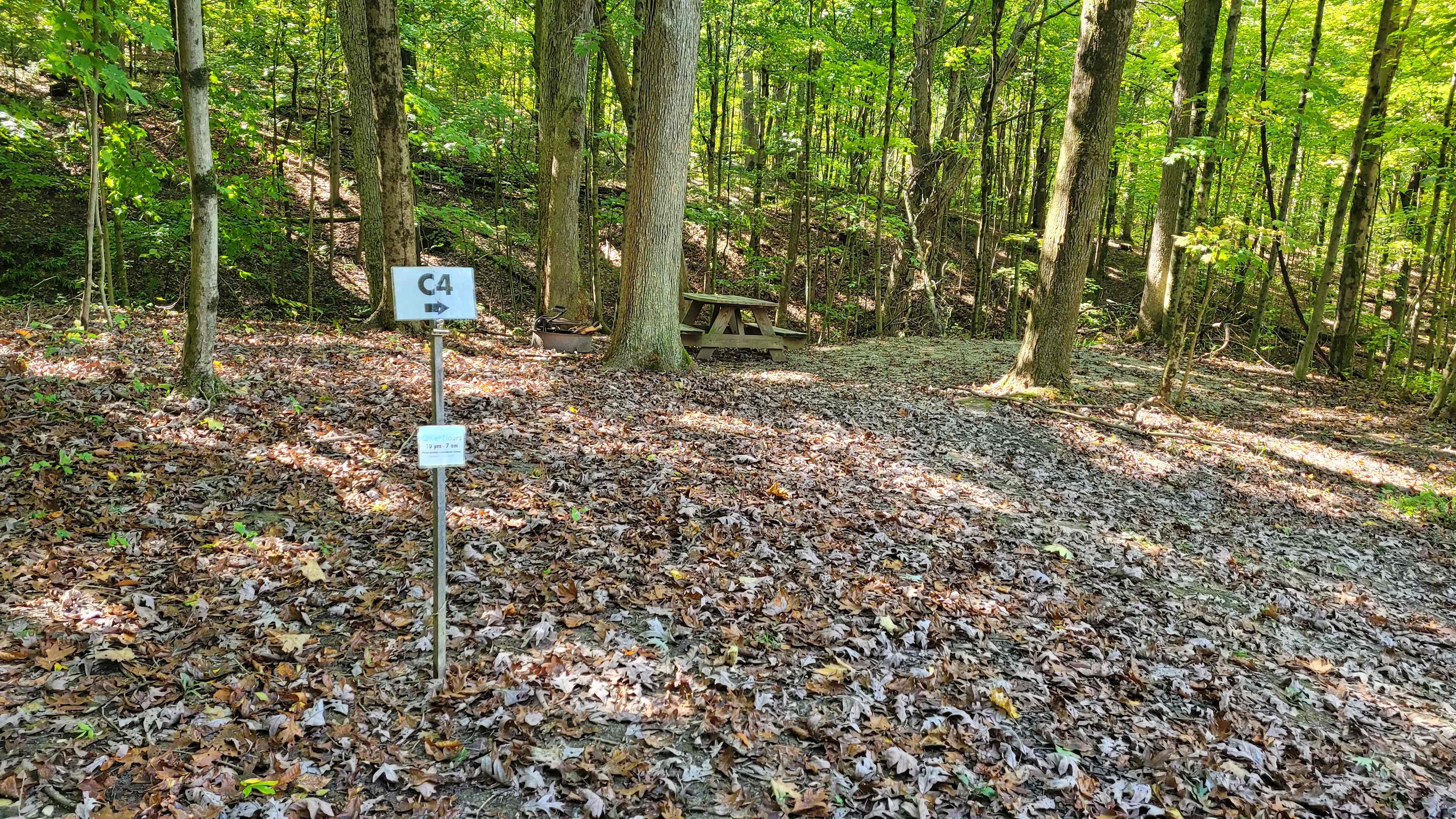 Picture of the site
