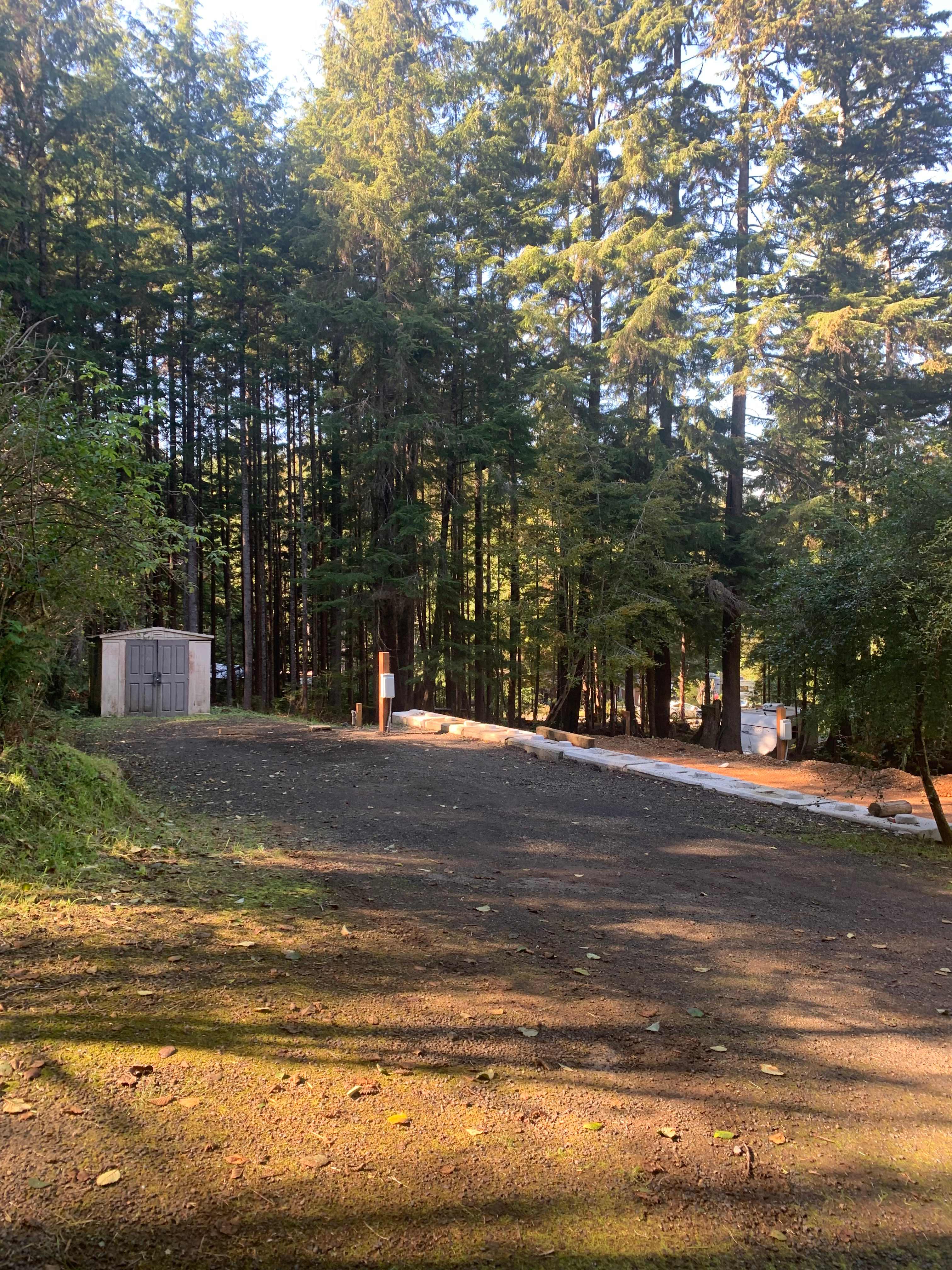 Copalis Beach Camp