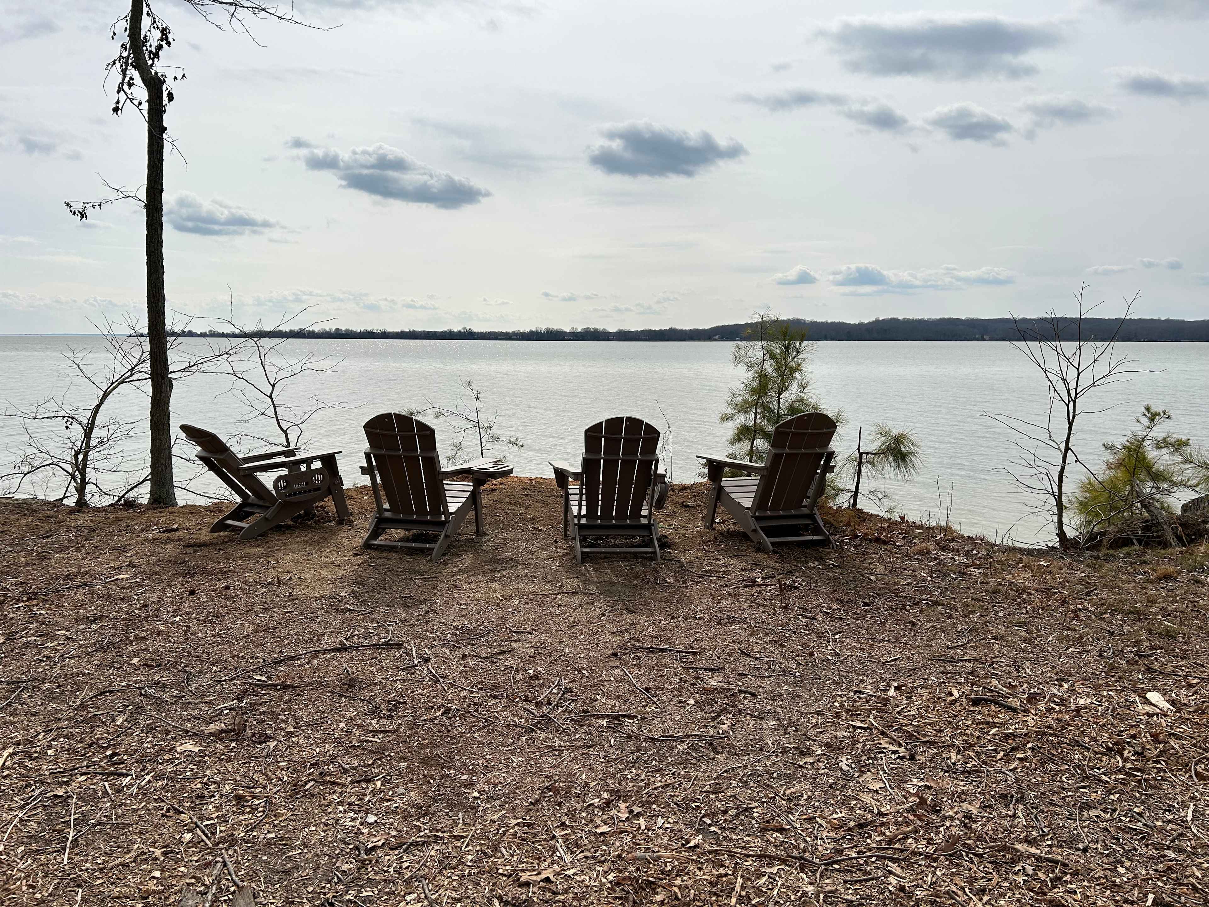 Breezy View