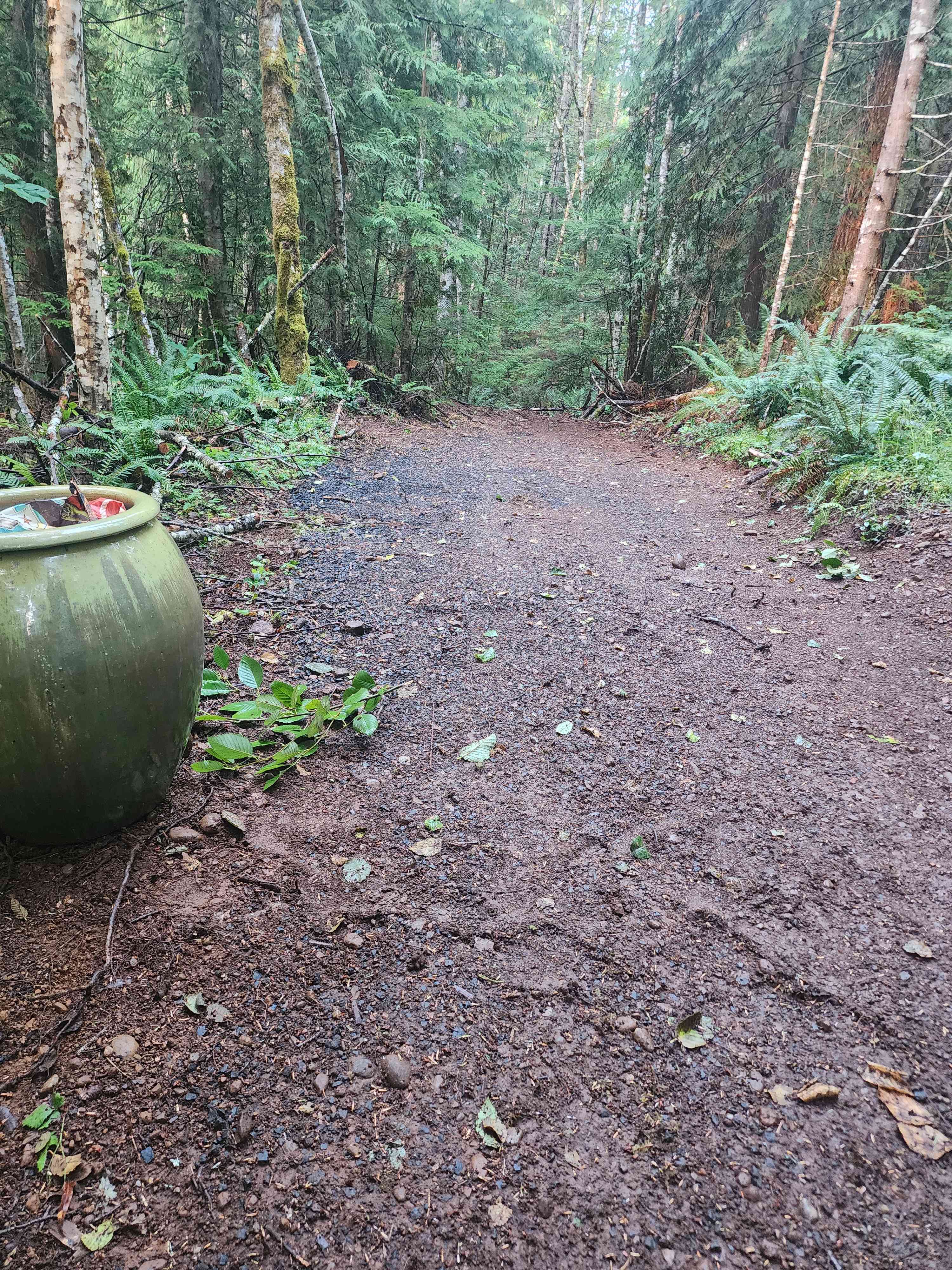 The Feathered Refuge: Off-grid