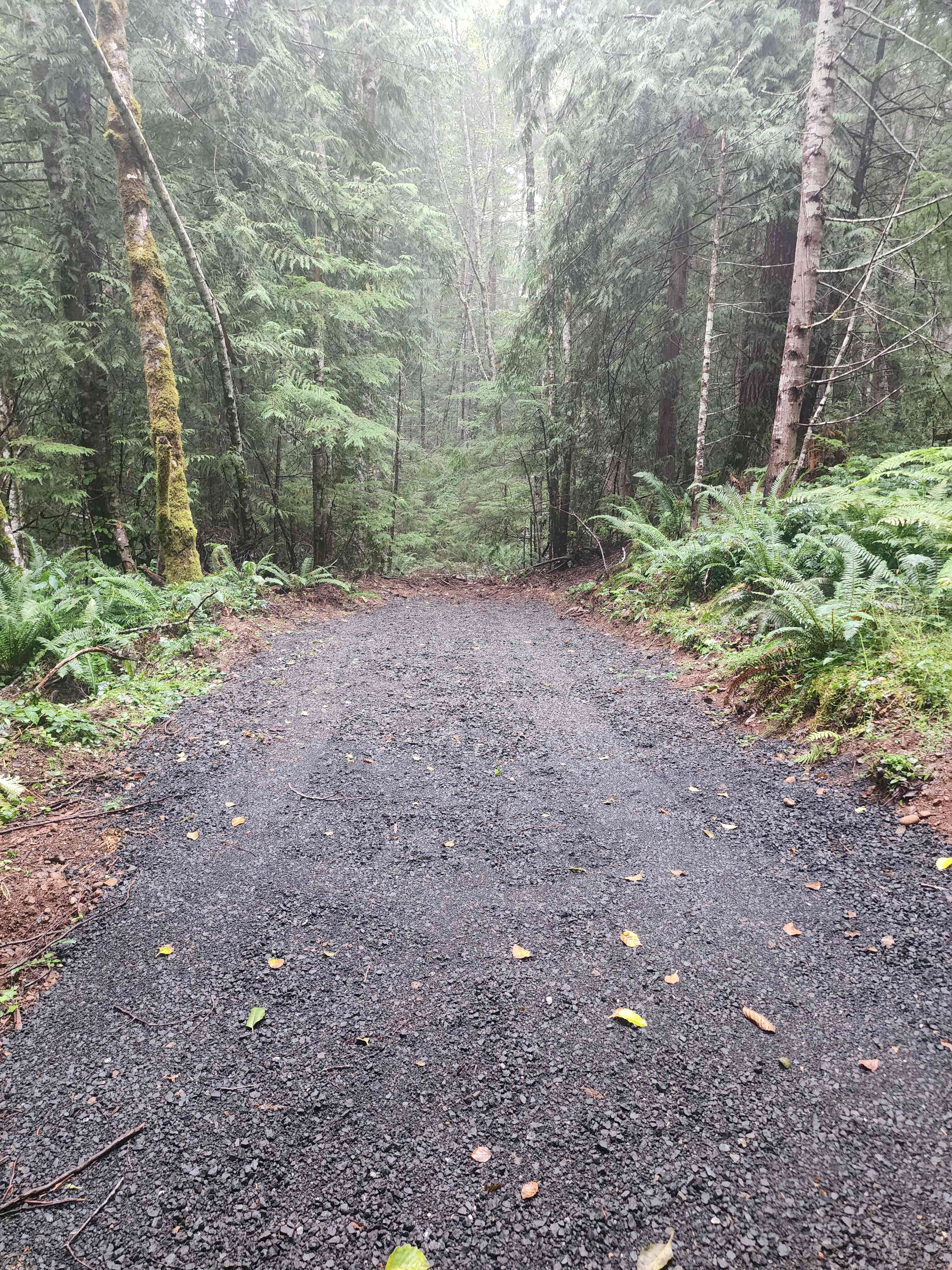 RV site 24 feet long and approximately 8 feet wide
