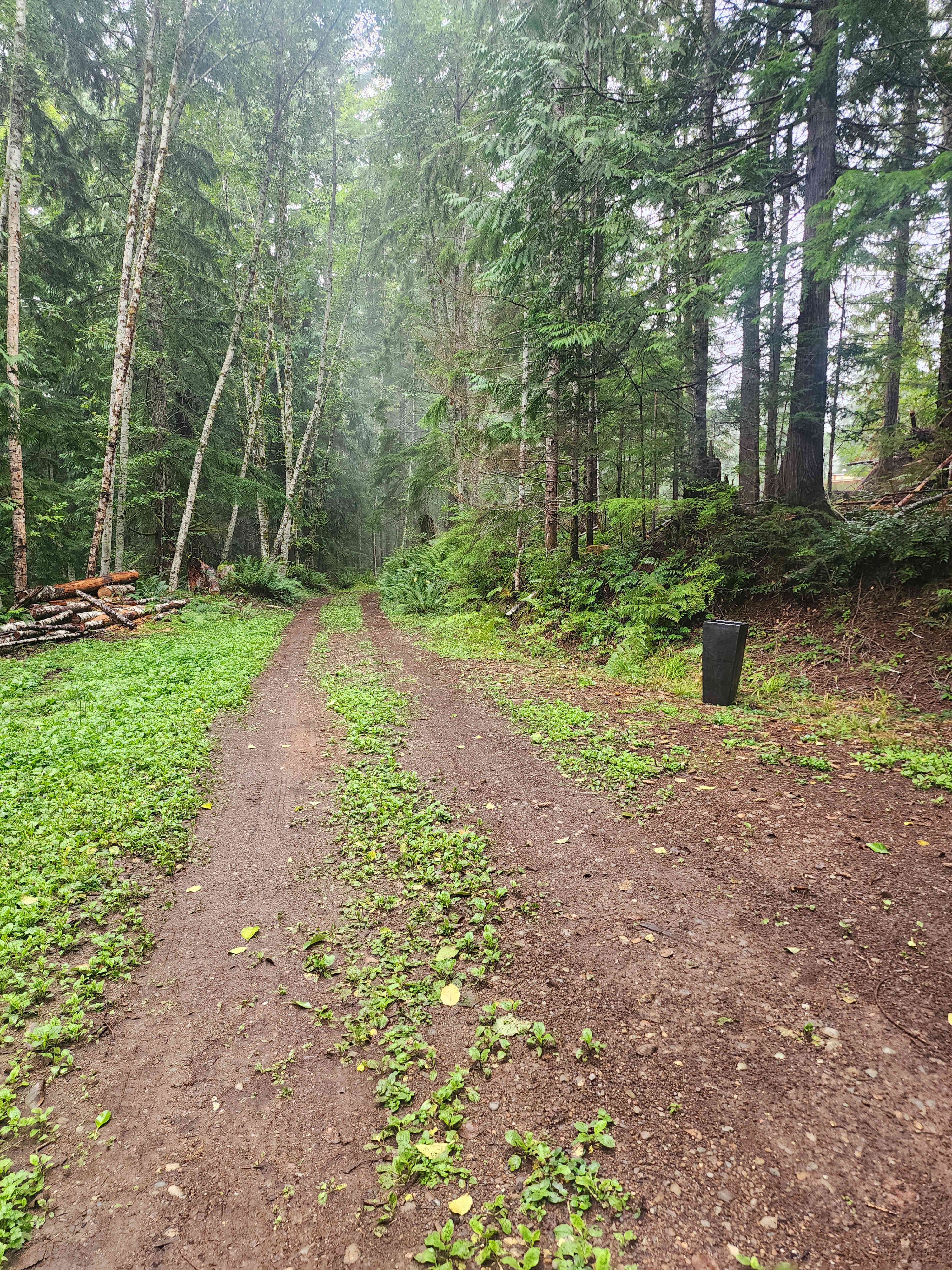The Feathered Refuge: Off-grid