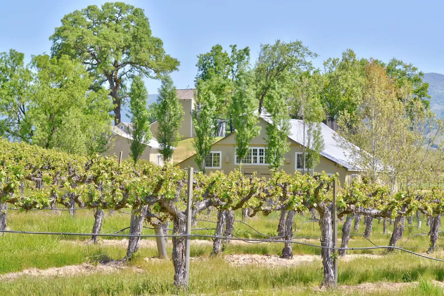 Duncan Peak Vineyards