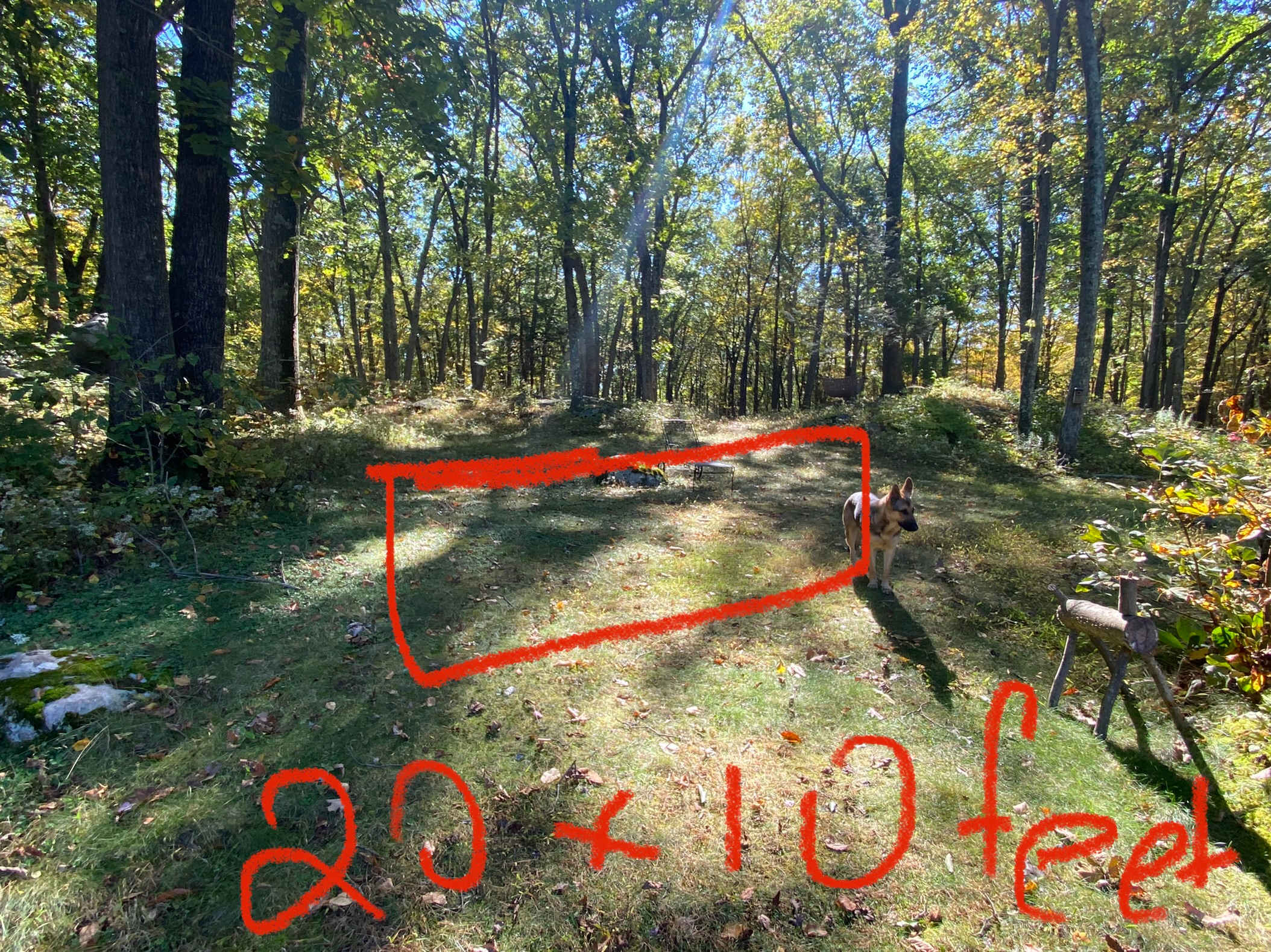 Picture of the site