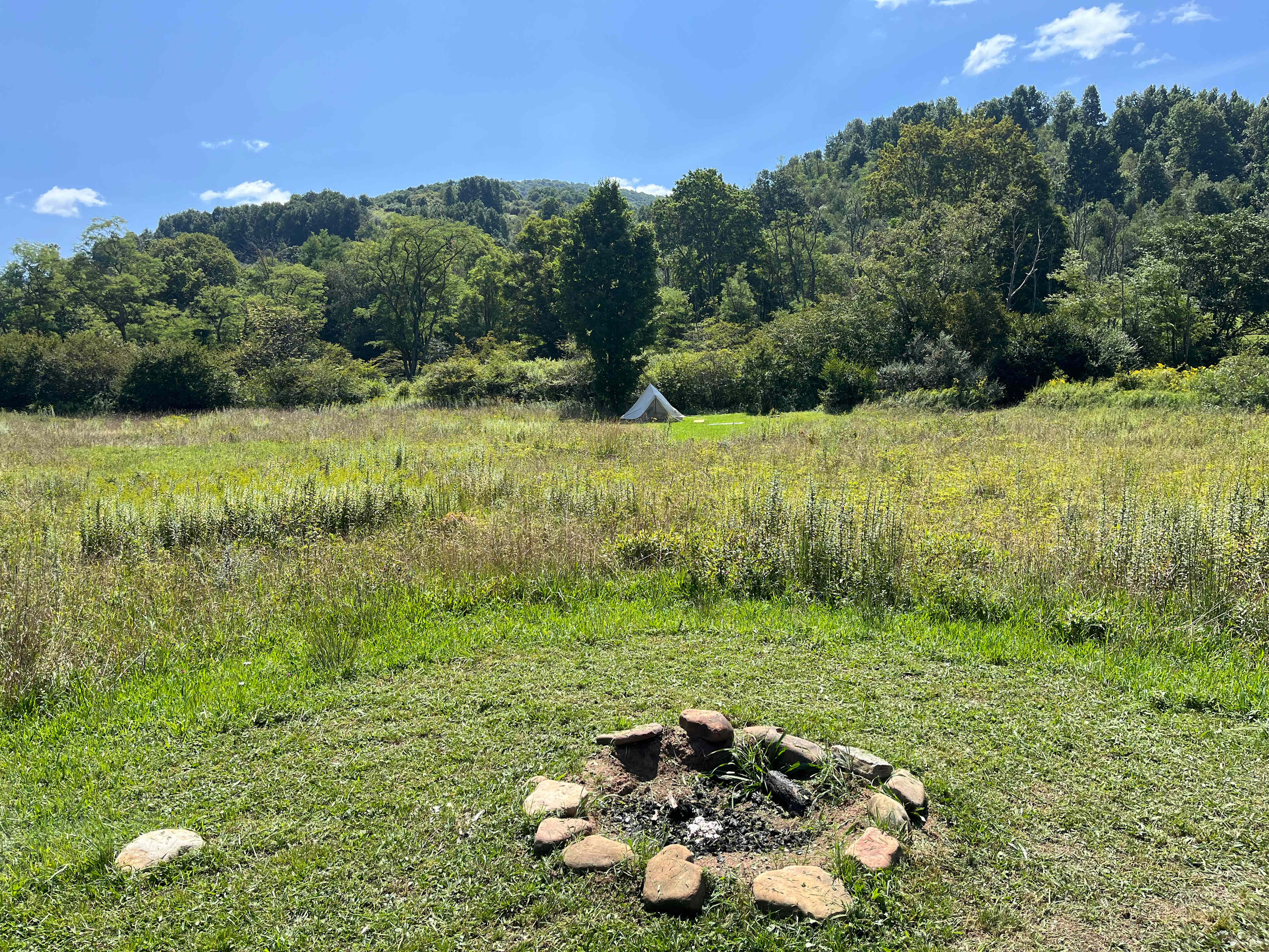 Picture of the site