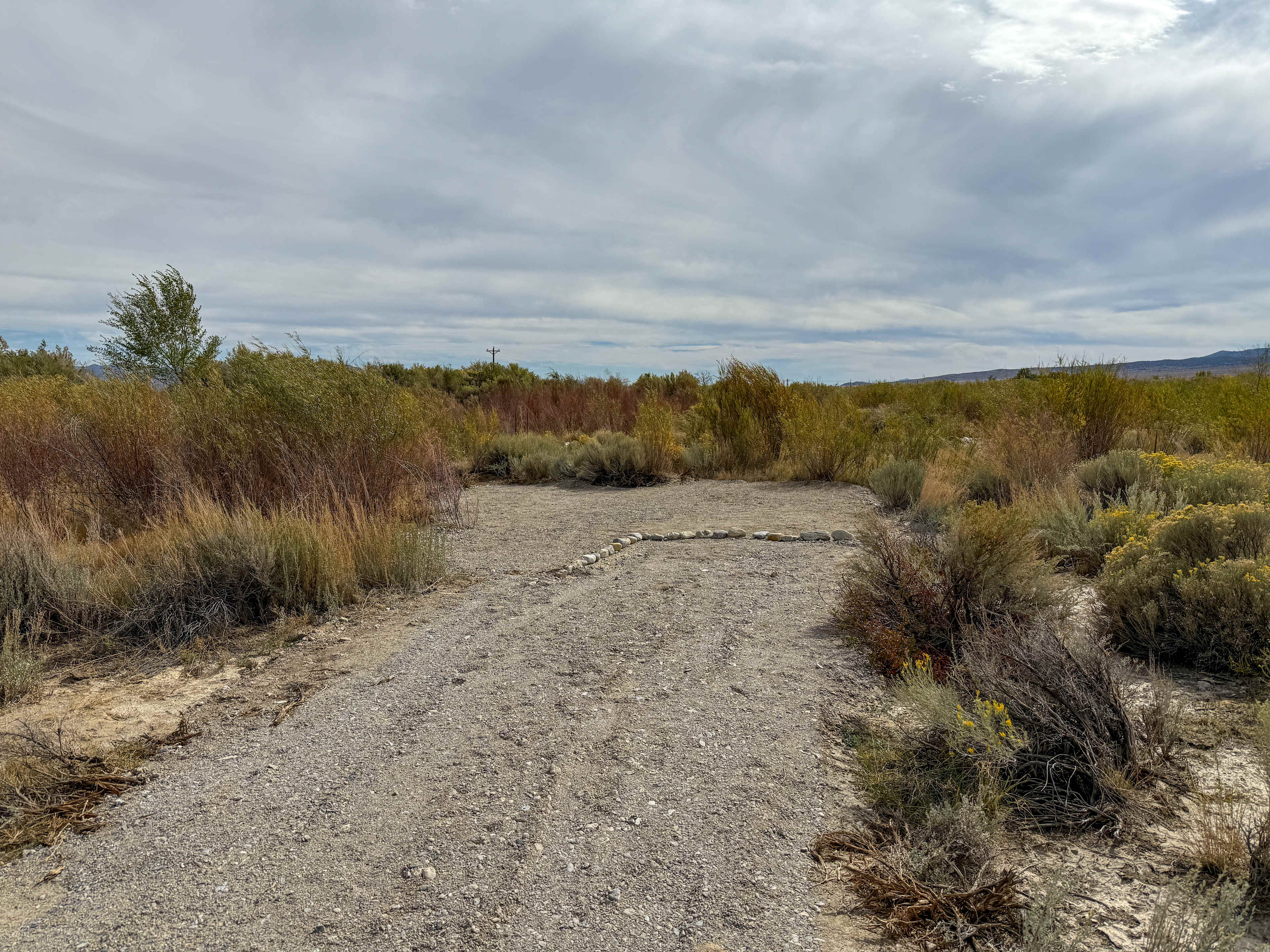 Site #3