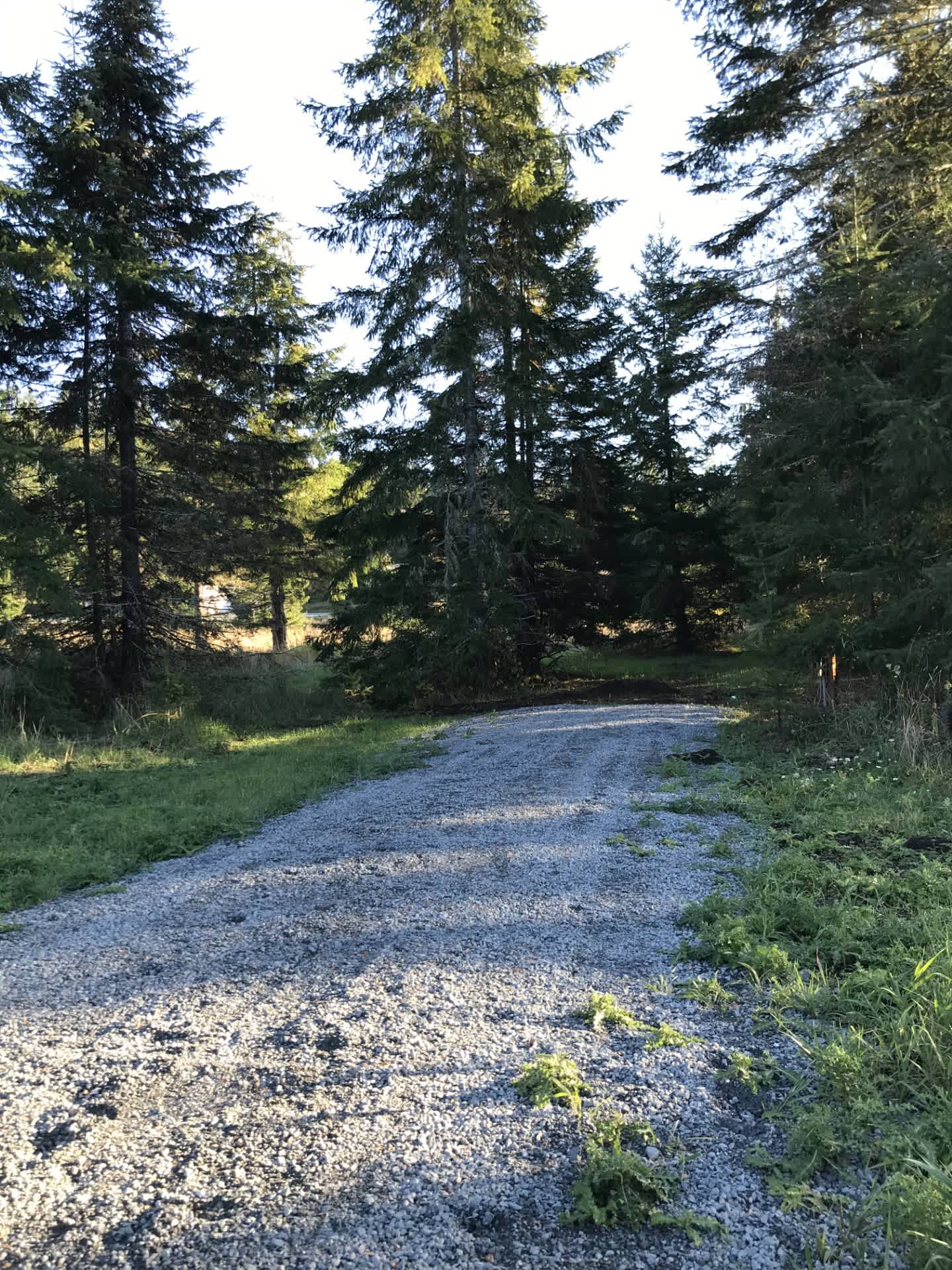 The Old Family Farm