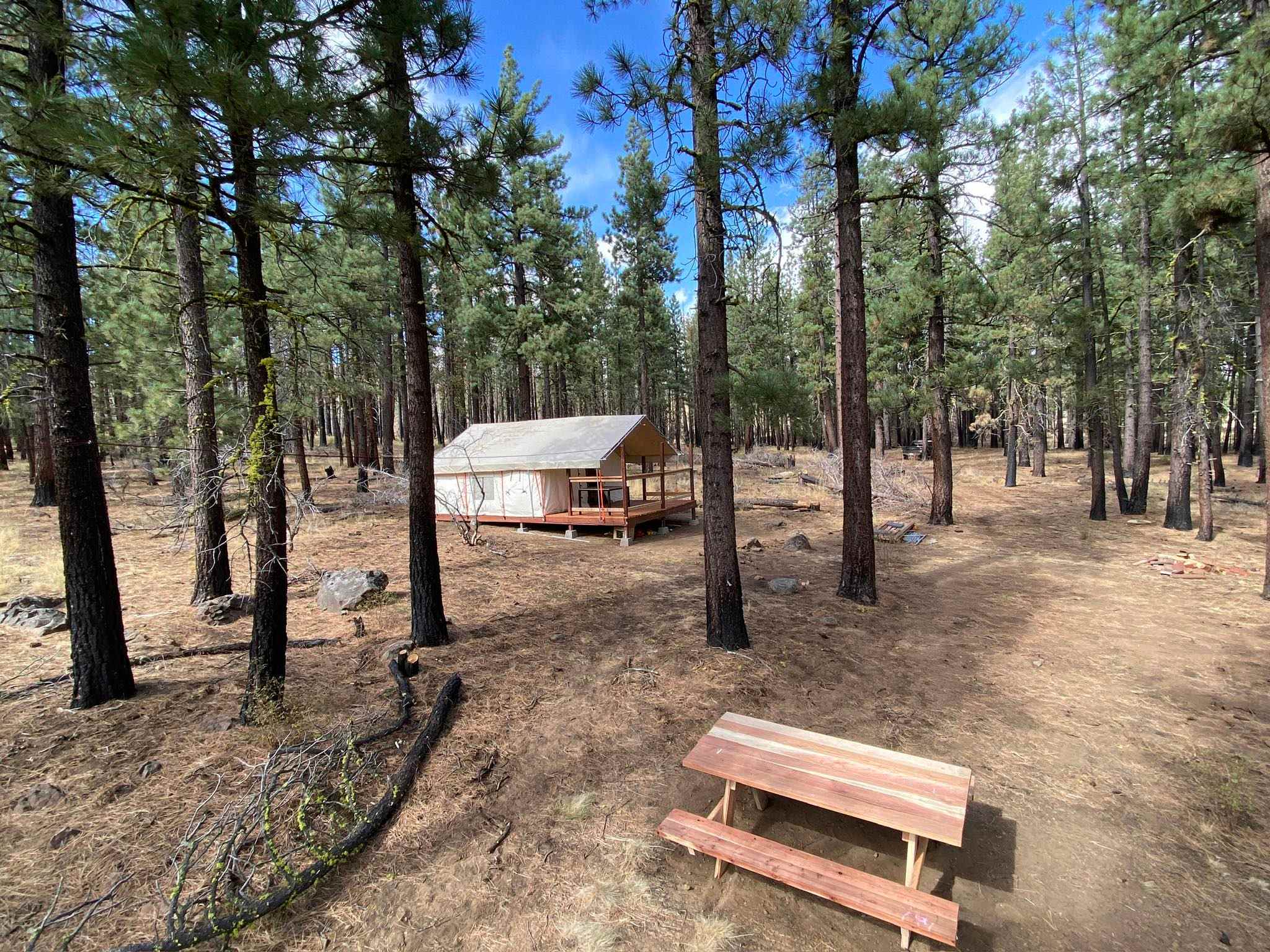 Mostly level camp area with outfitters tent, all season canopy & porch plus picnic table for outdoor meals. 