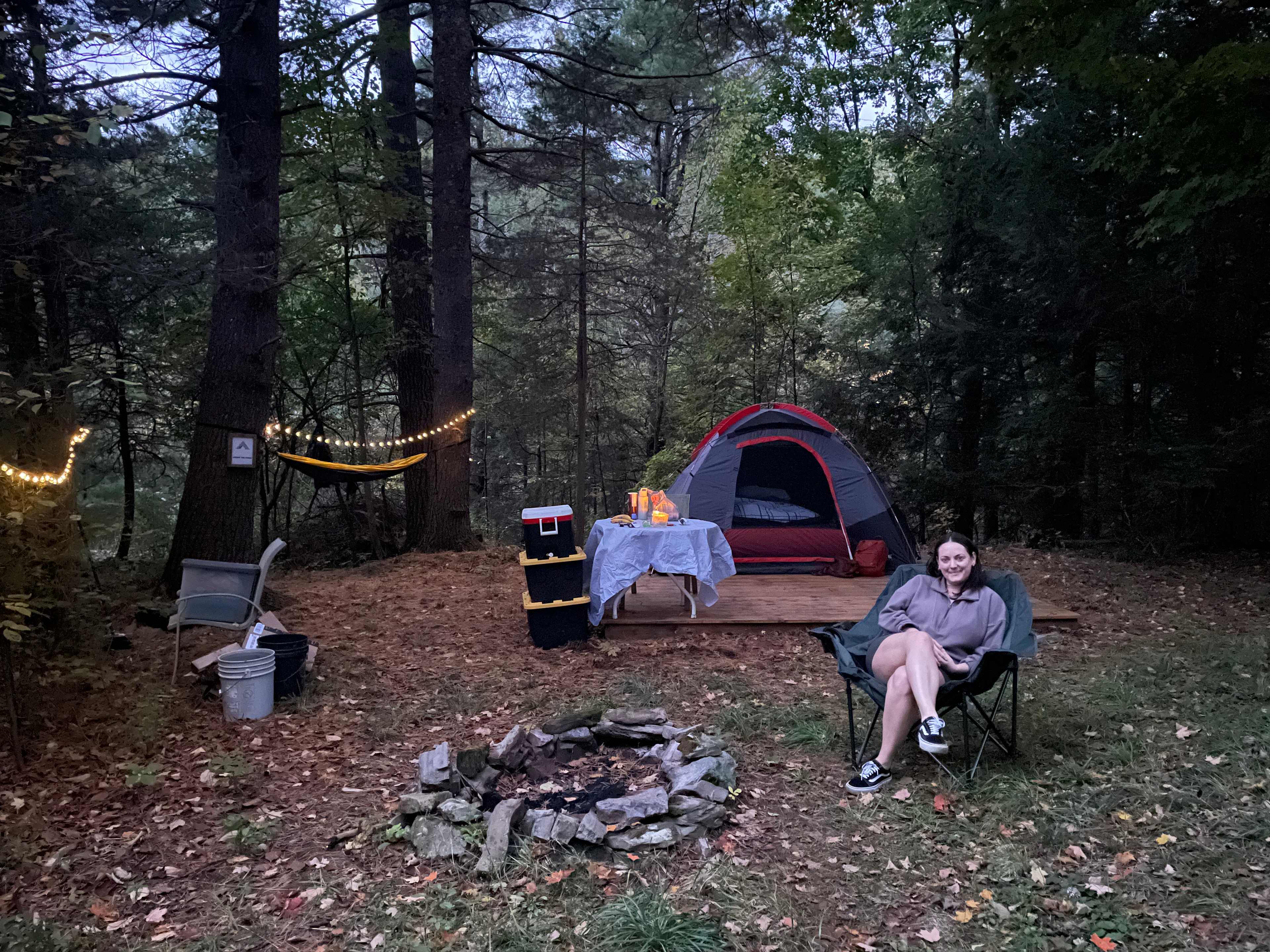 Picture of the site