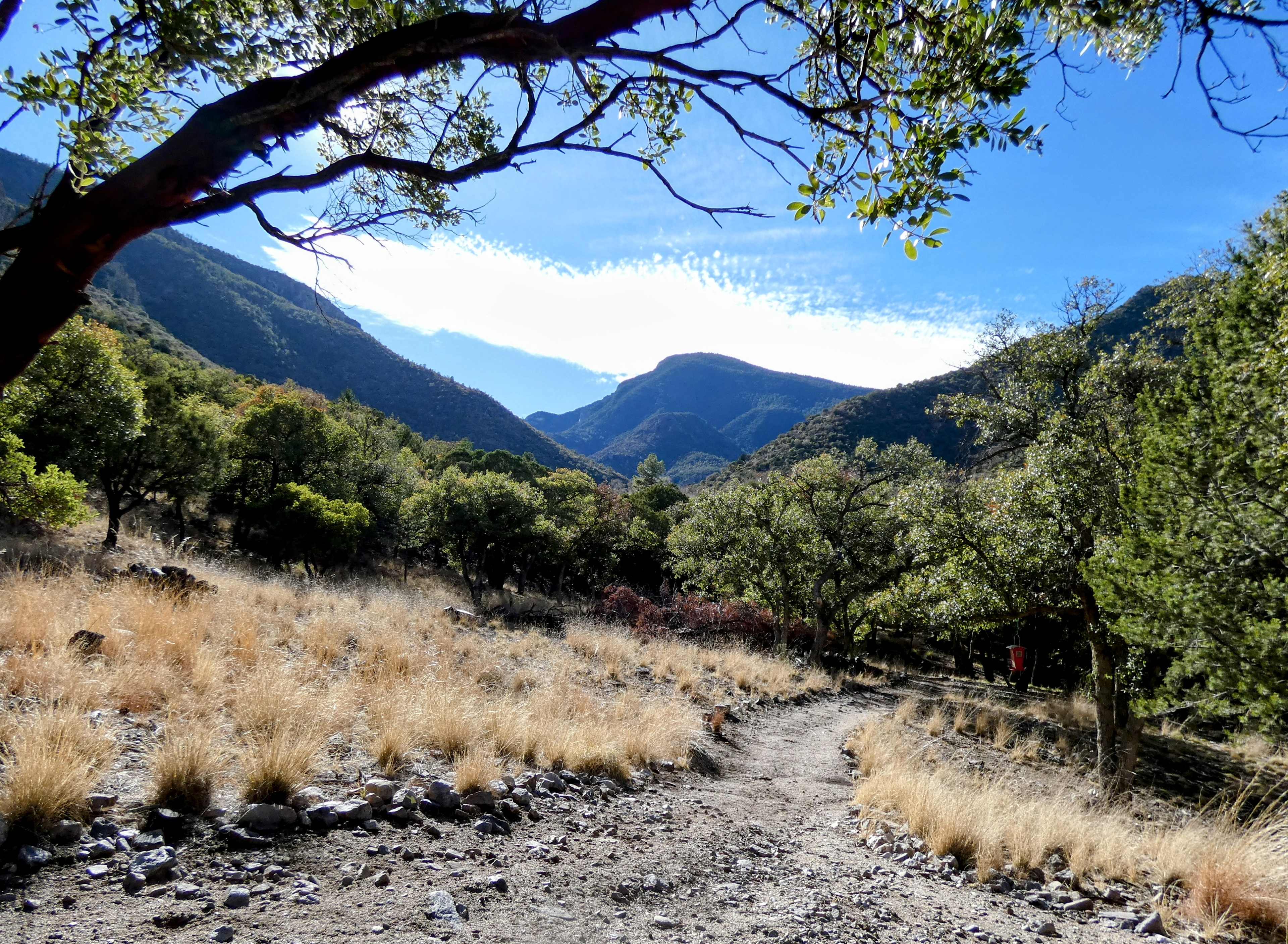 Ramsey Canyon Cabins&Bird Sanctuary
