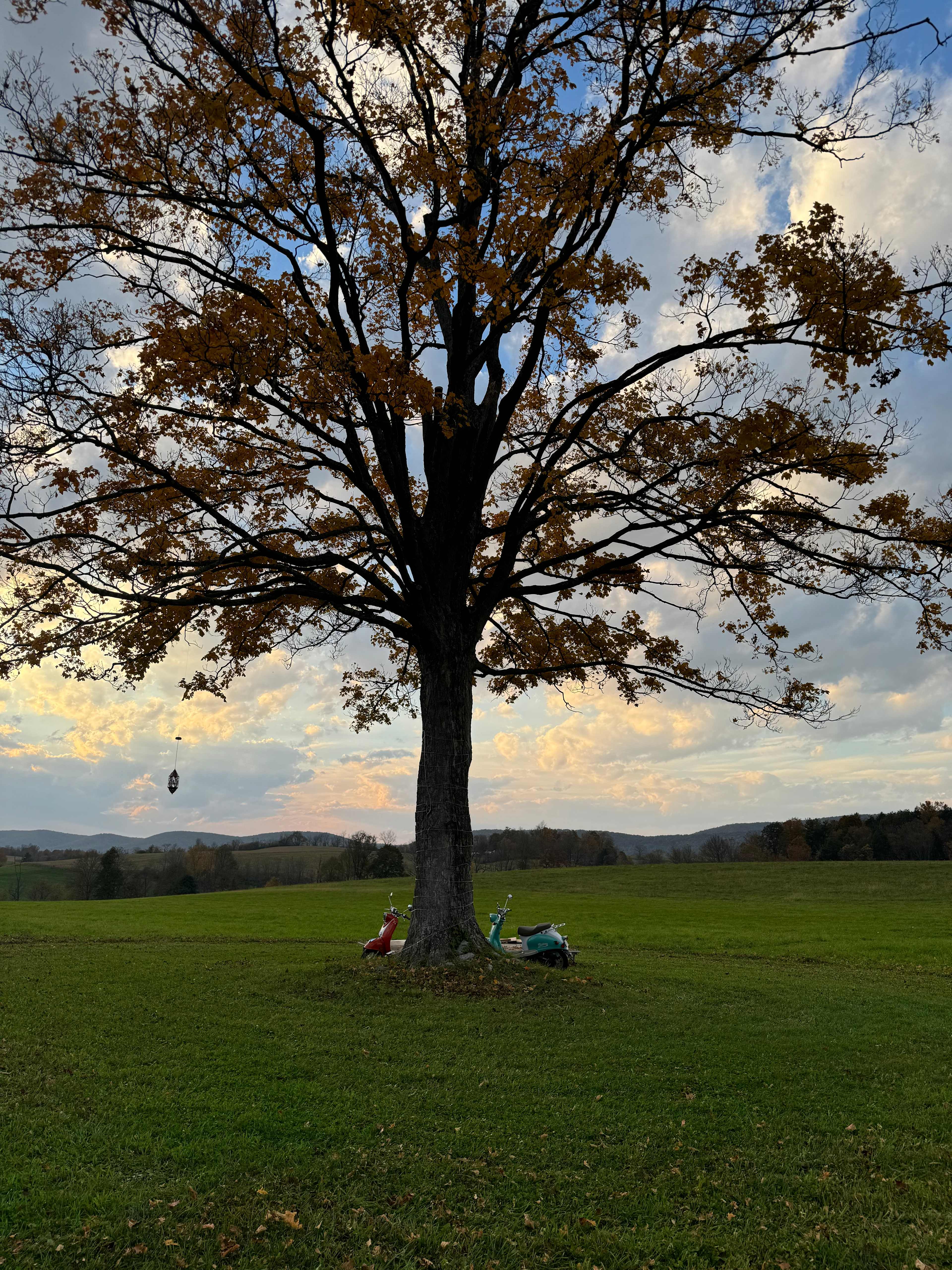 Winkelblech Fields