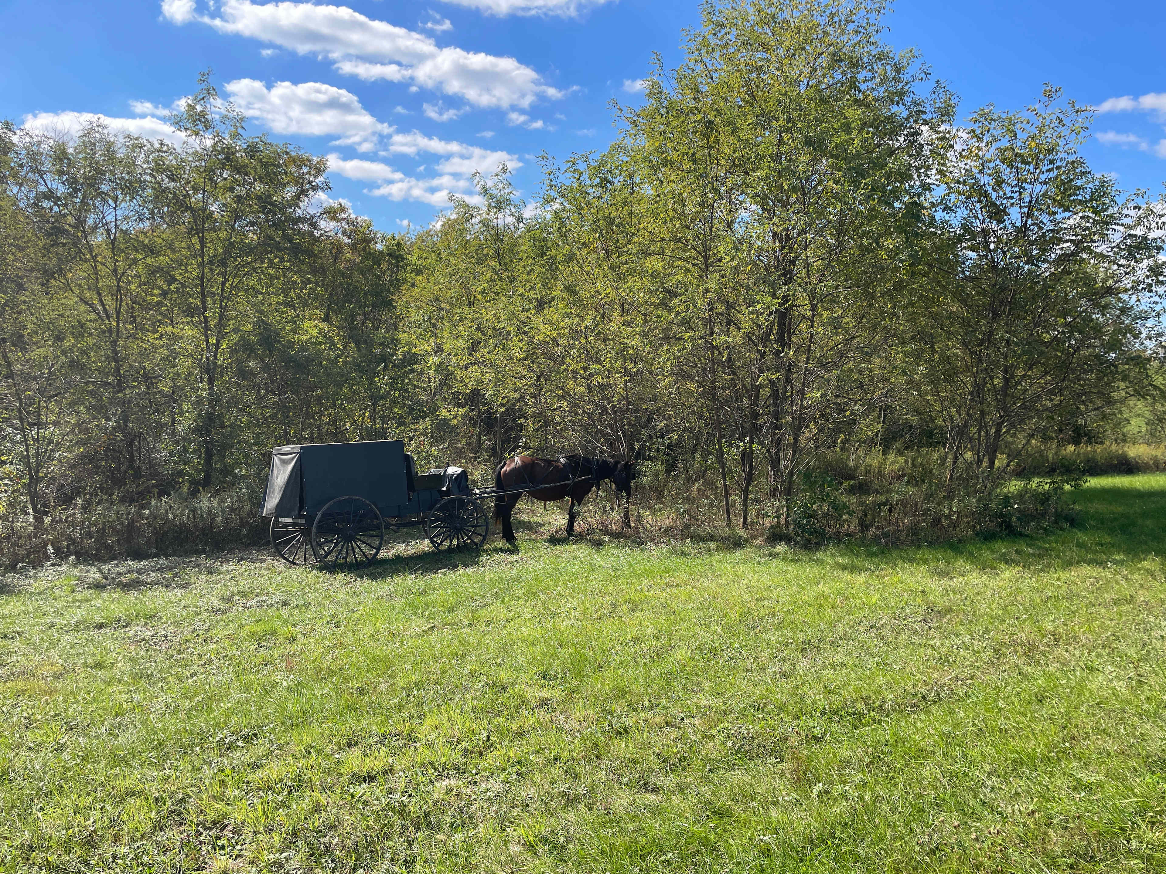 Amish Farm Campsite at Chesterhill