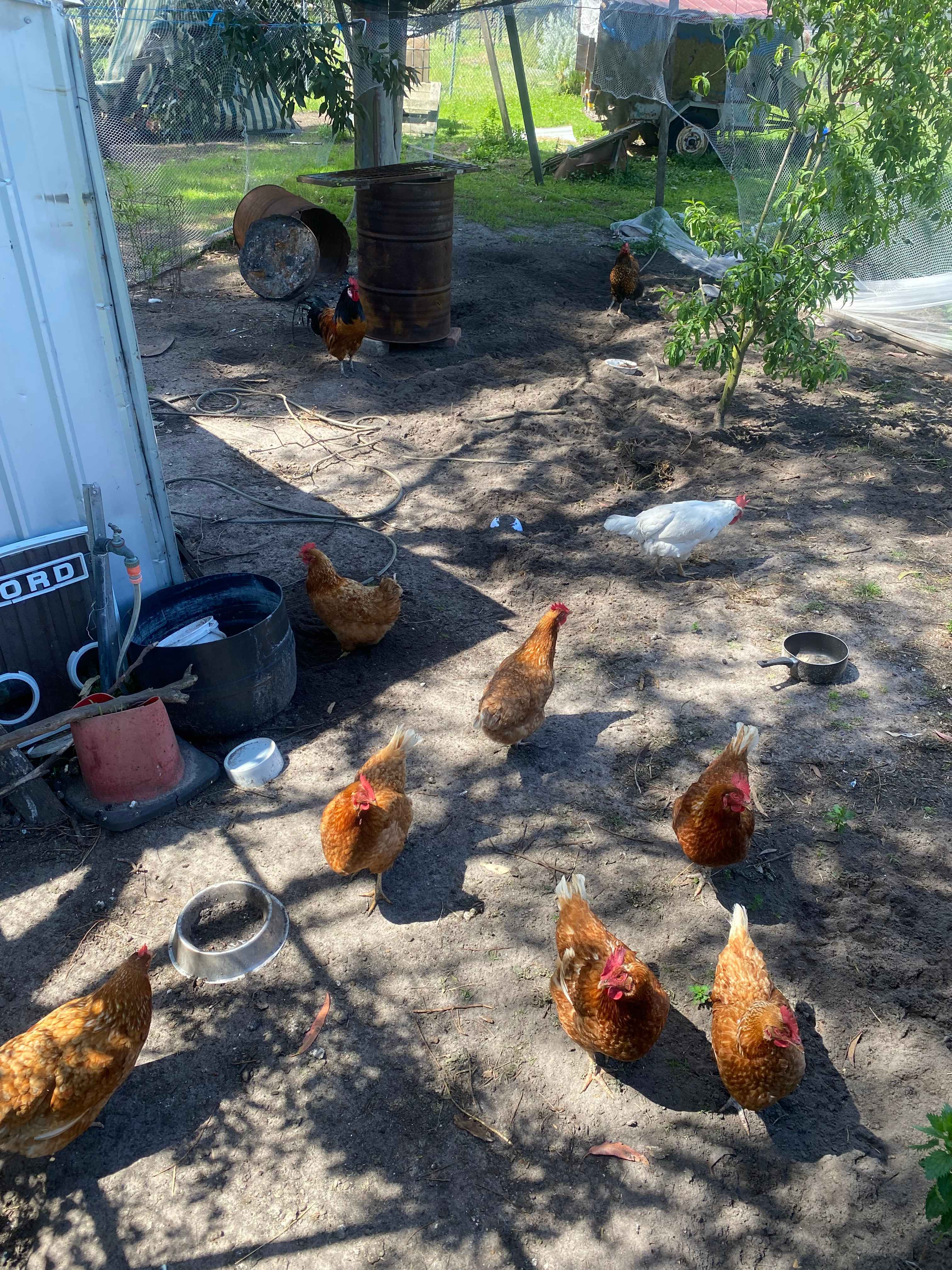 One Song Farm Stay