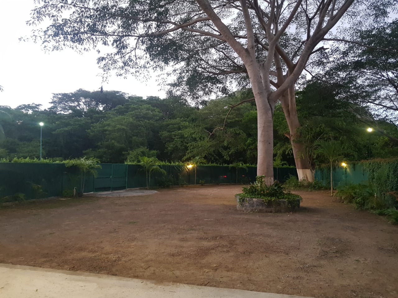 RV hip ixtapa