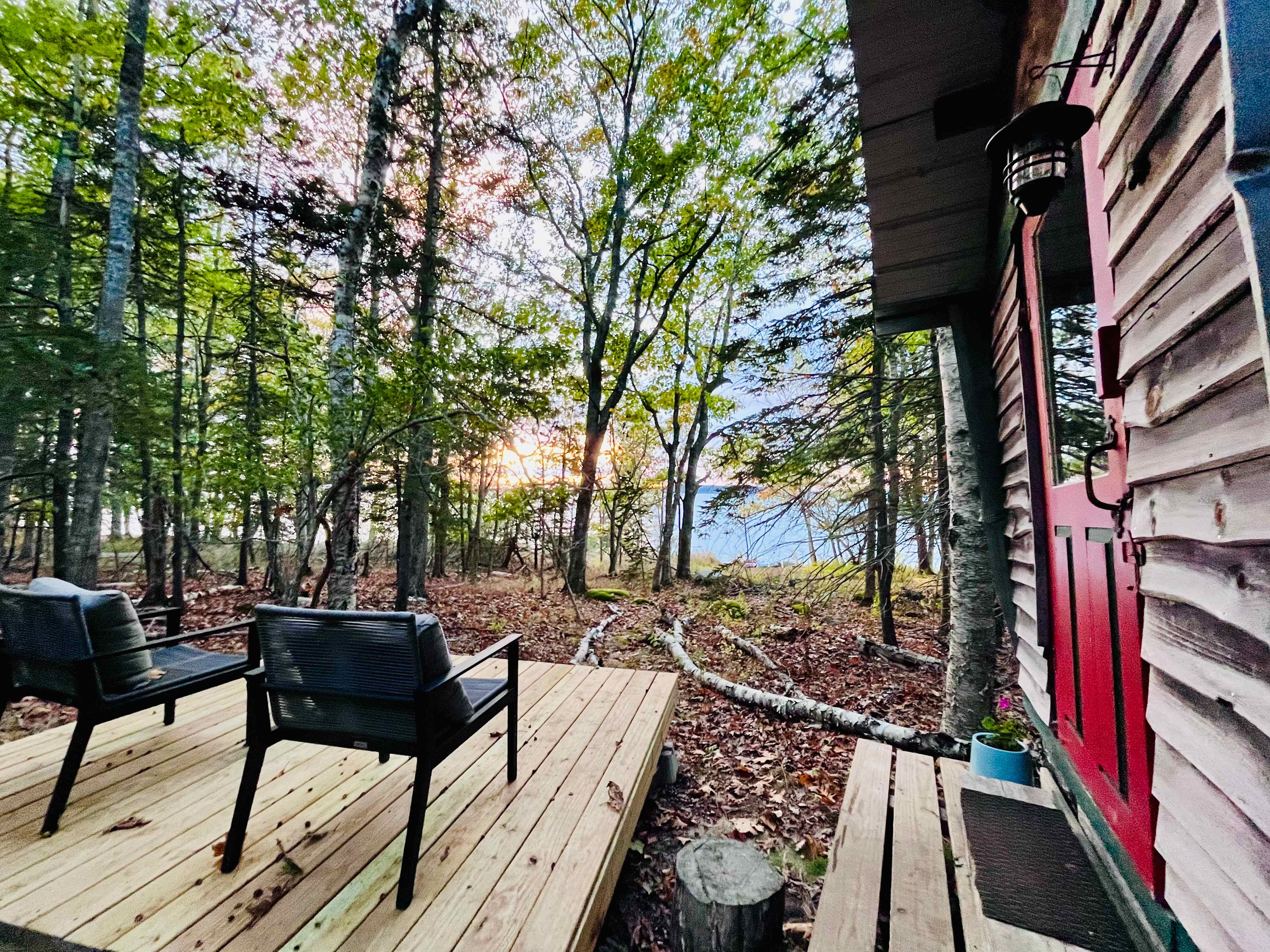 Picture of the site