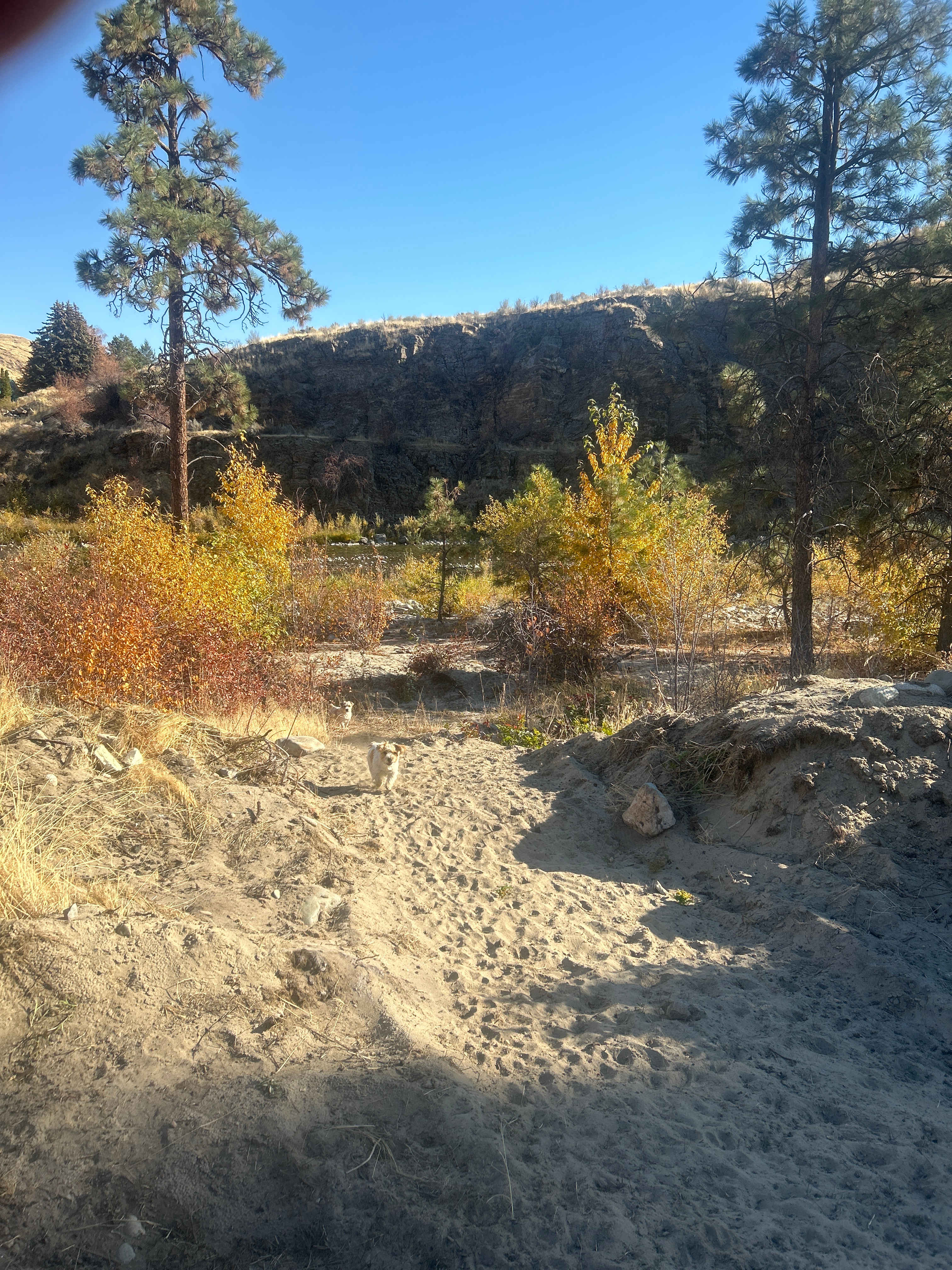 Picture of the site