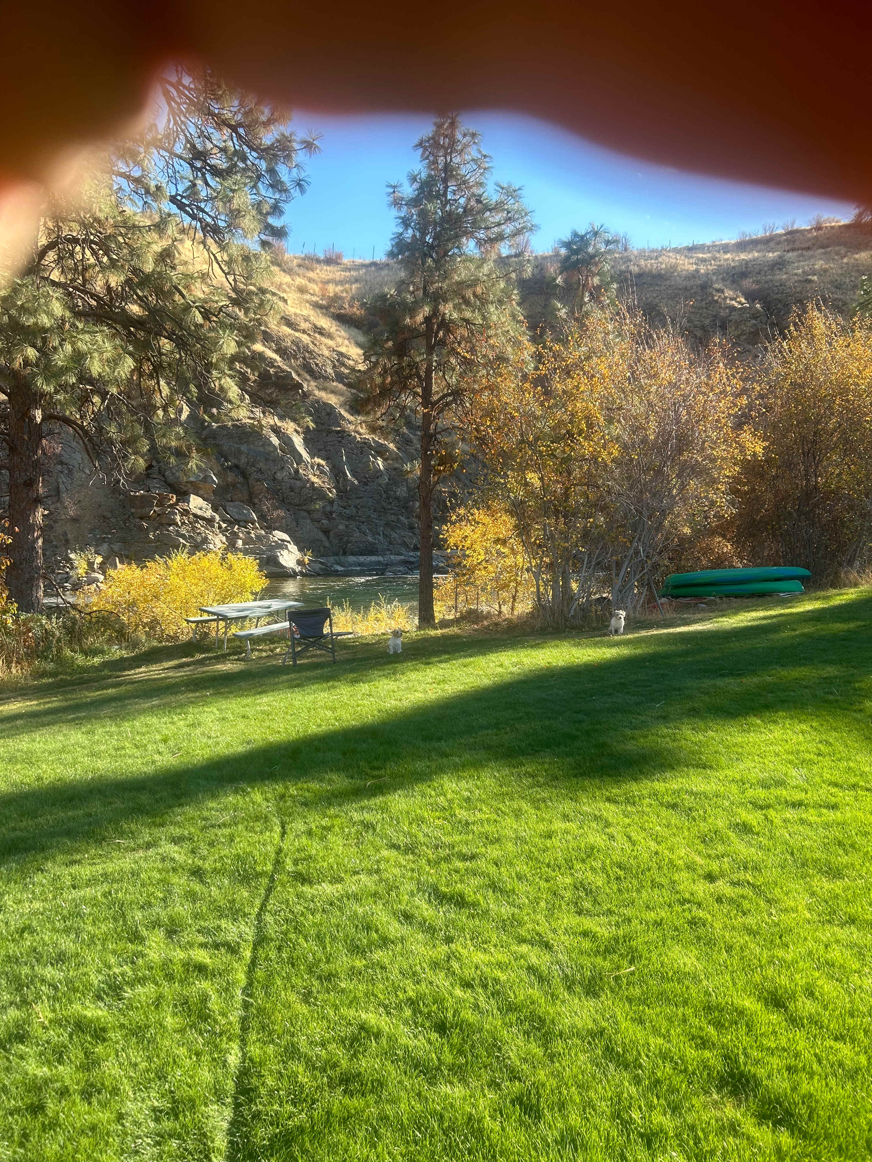 Picture of the site