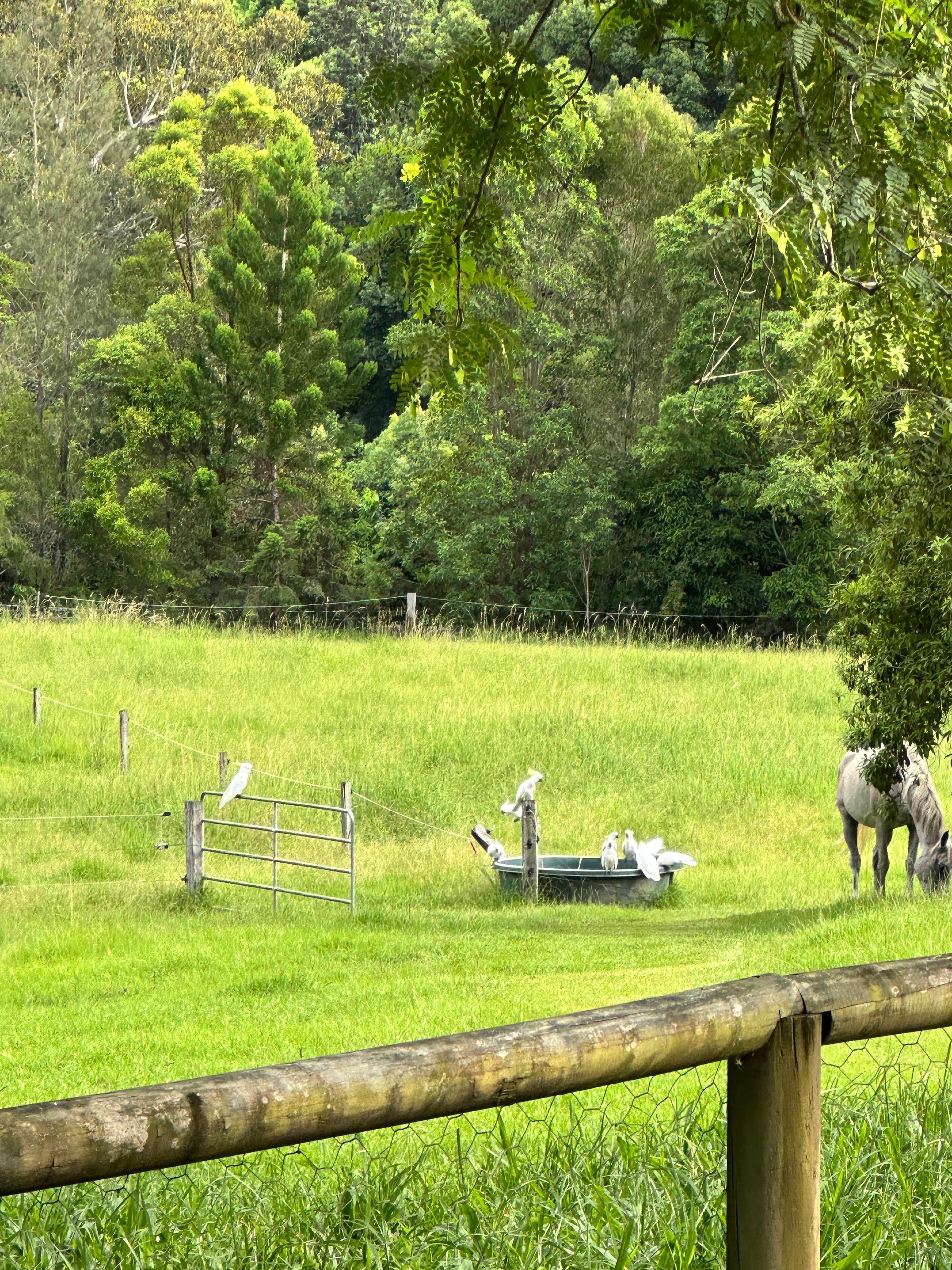 Gabrielle's Sacred Retreat
