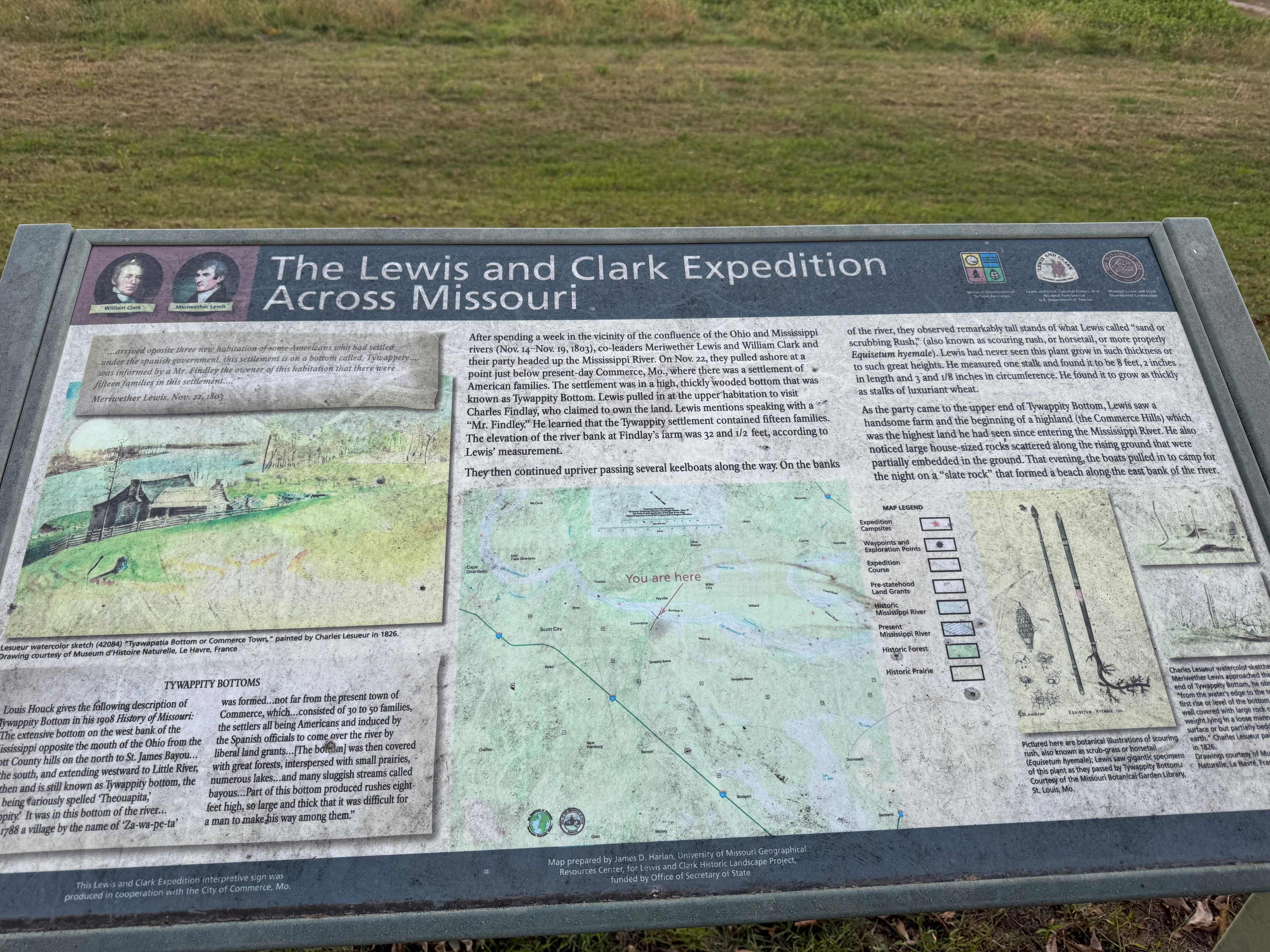 Picture of the site