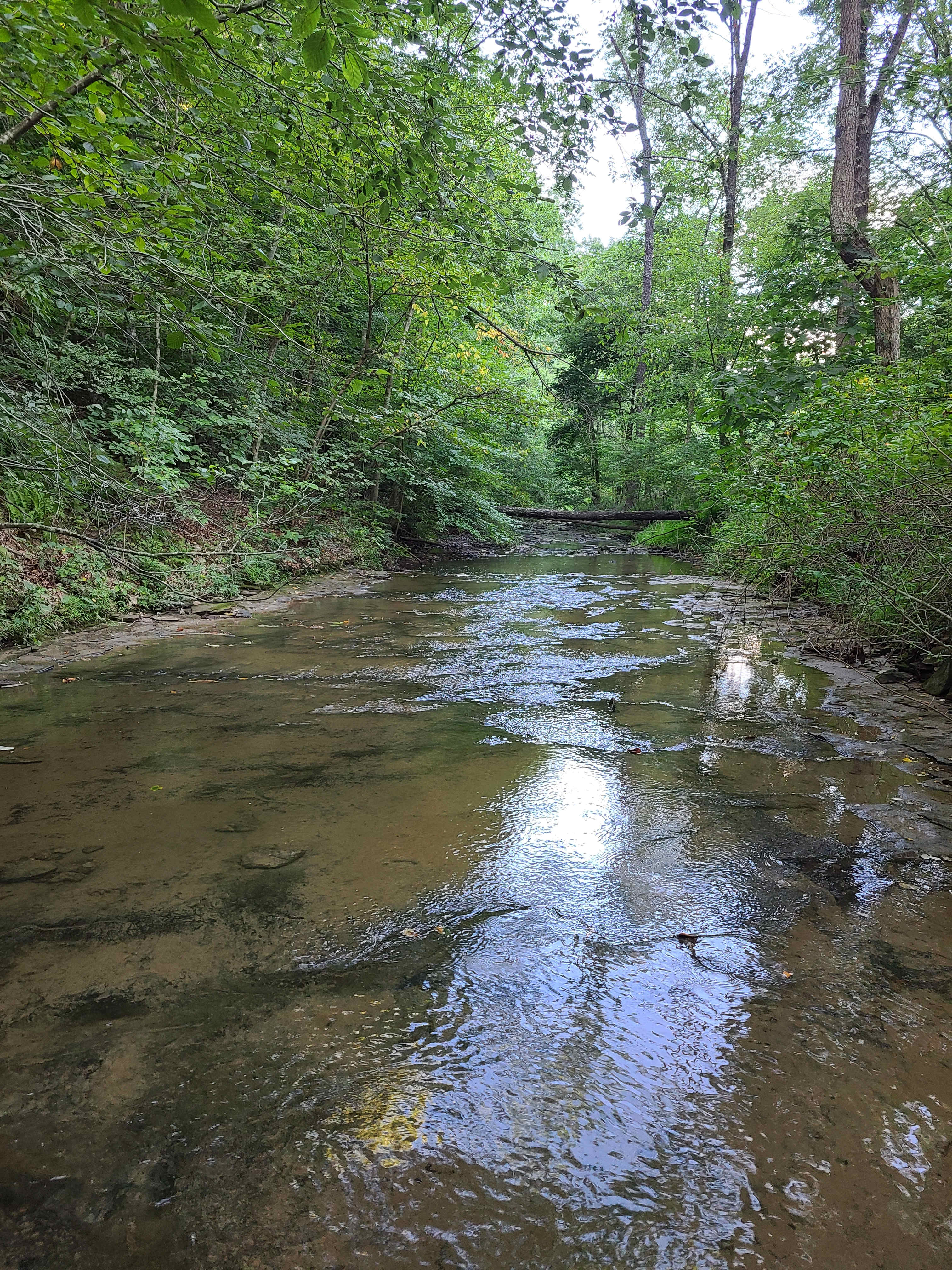 Cottage & Camping At Lost Run