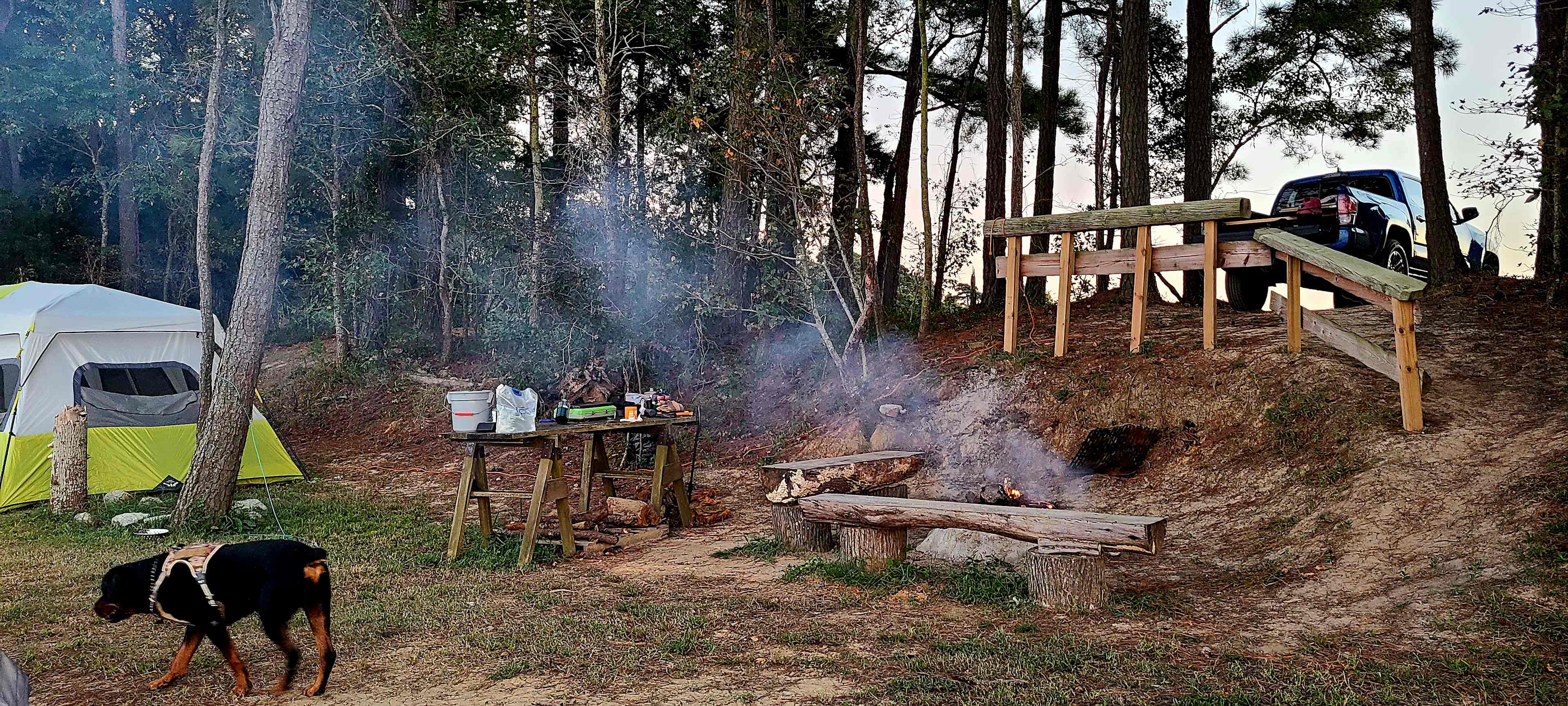 Picture of the site