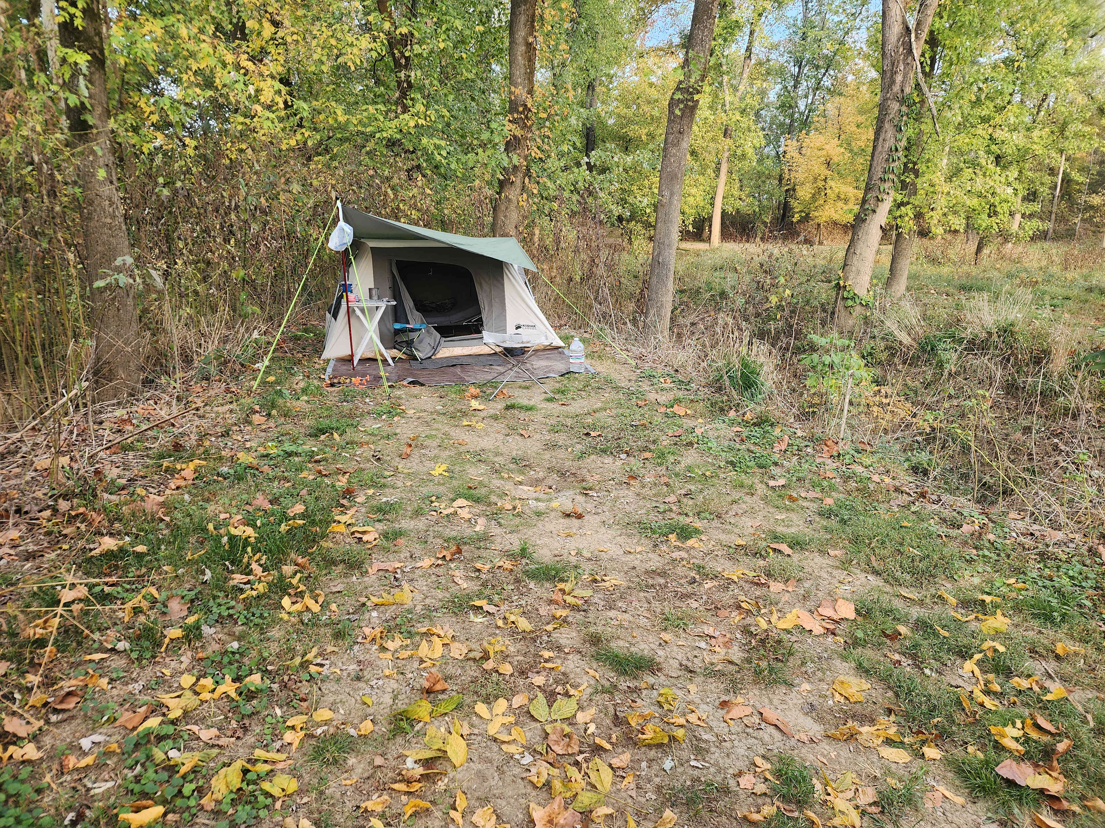 Picture of the site