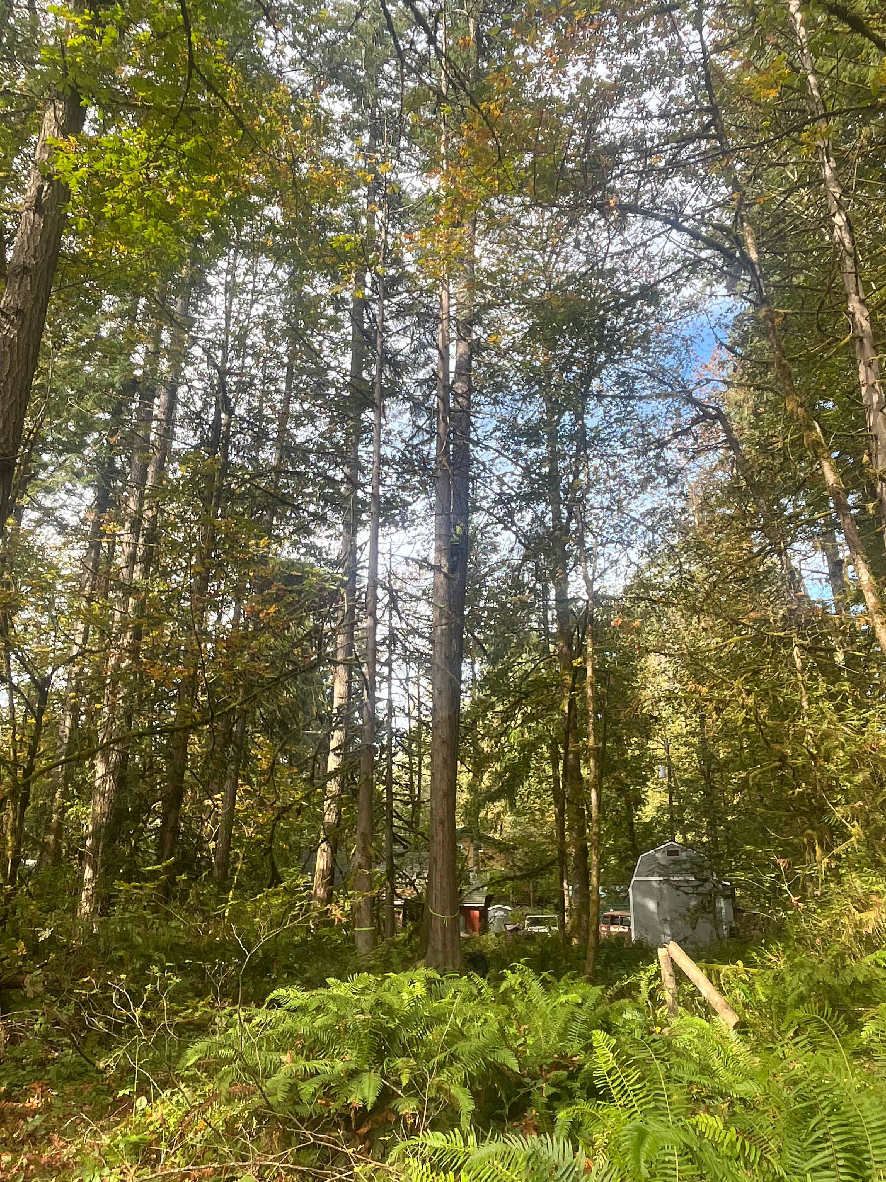 Kamouse Camp
