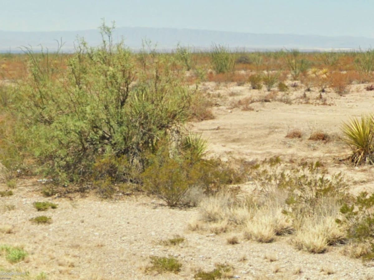 Redd woolf Camp