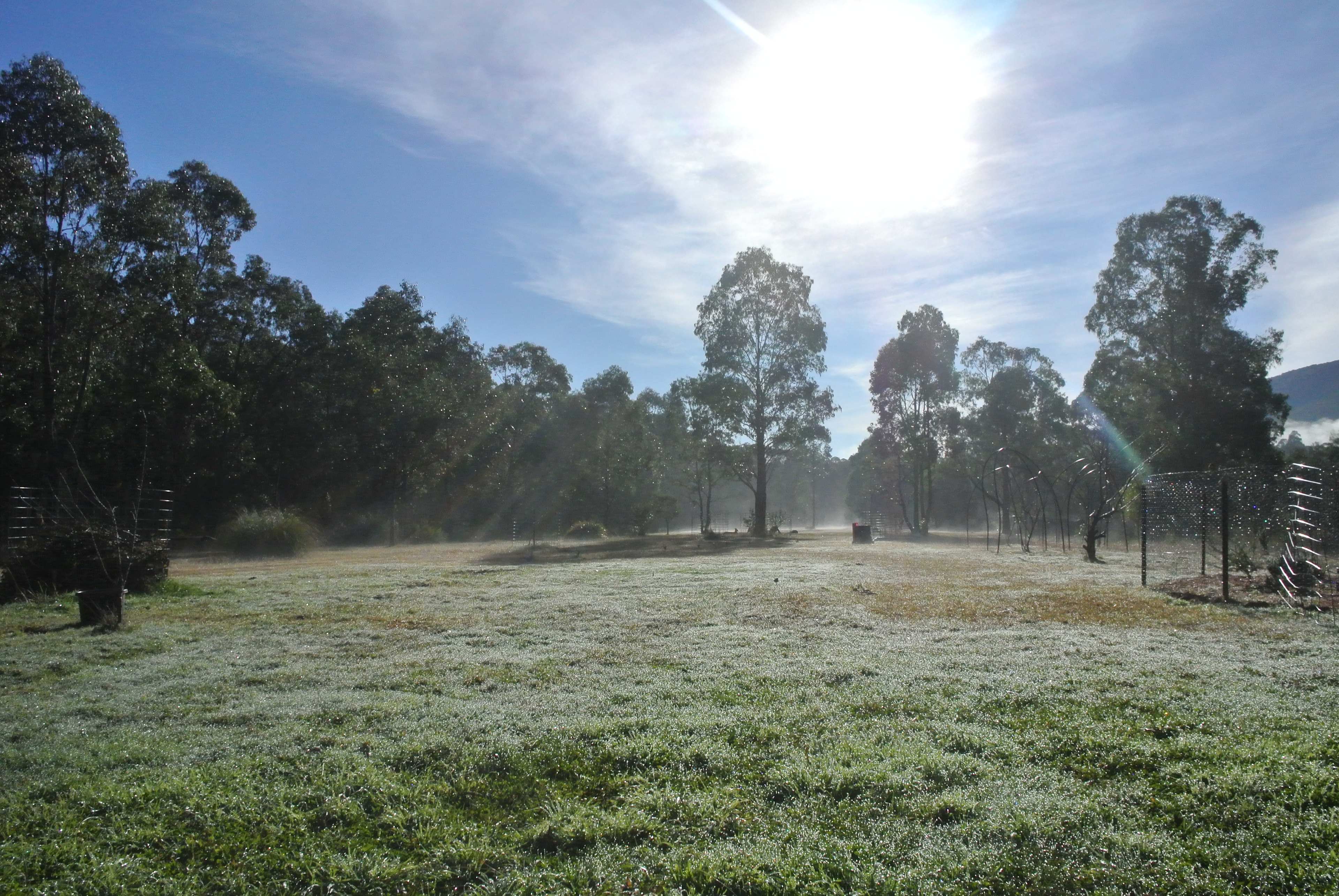 The Airstrip at Metro Meadow