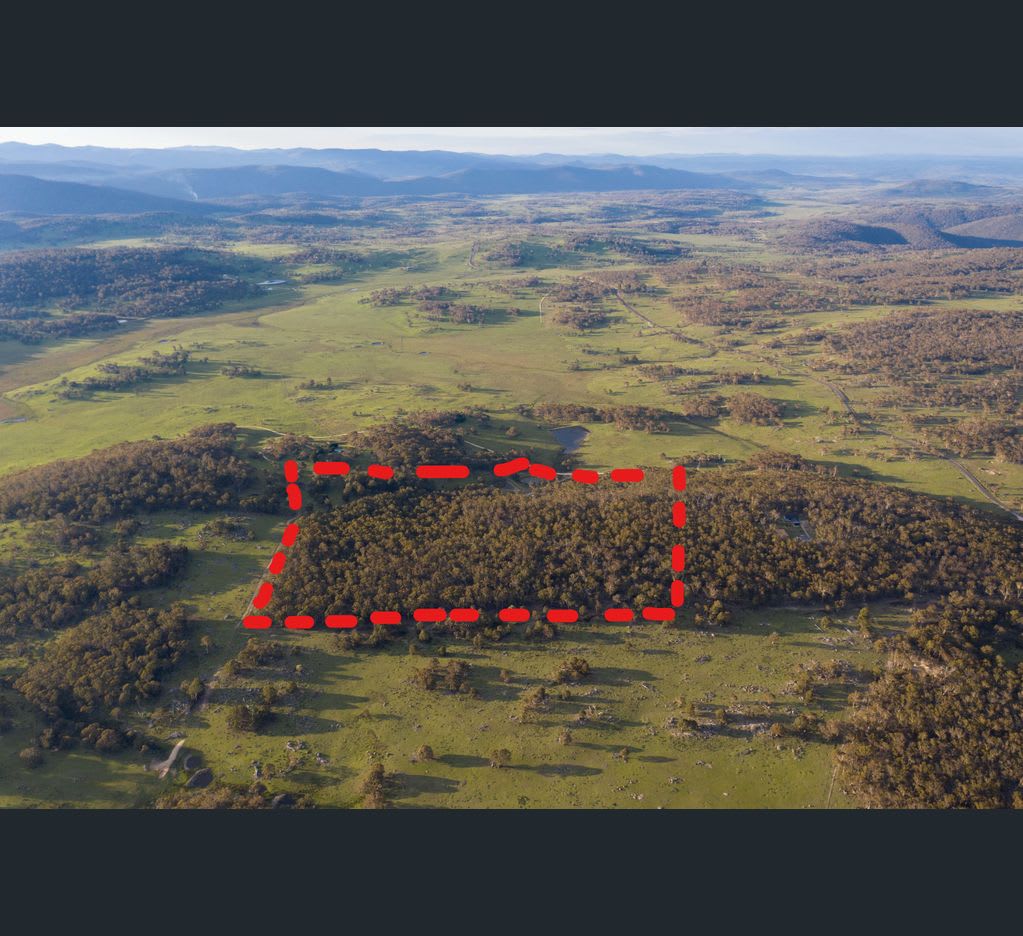 The Wombat Farm
