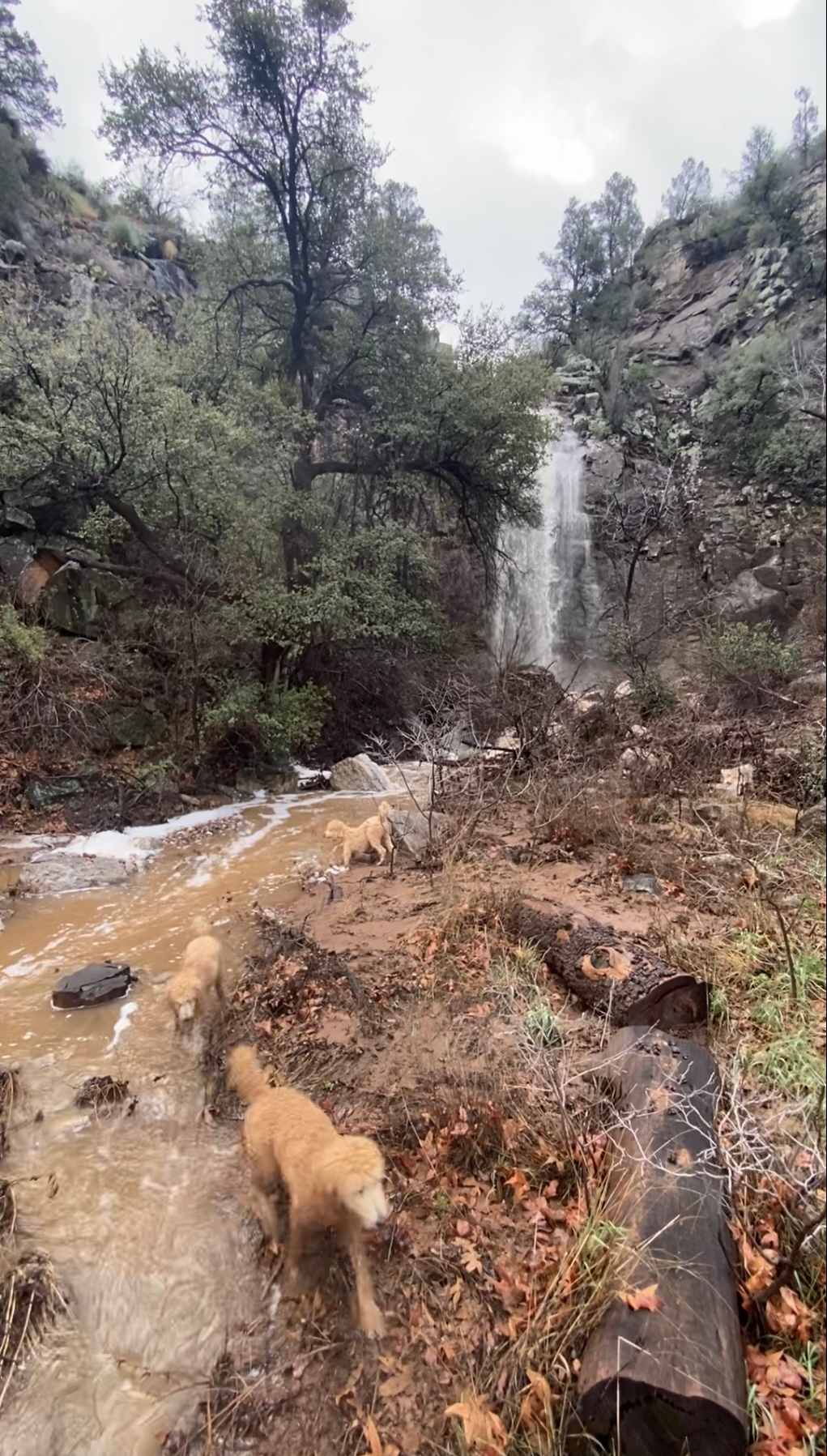 Ash Creek Canyon