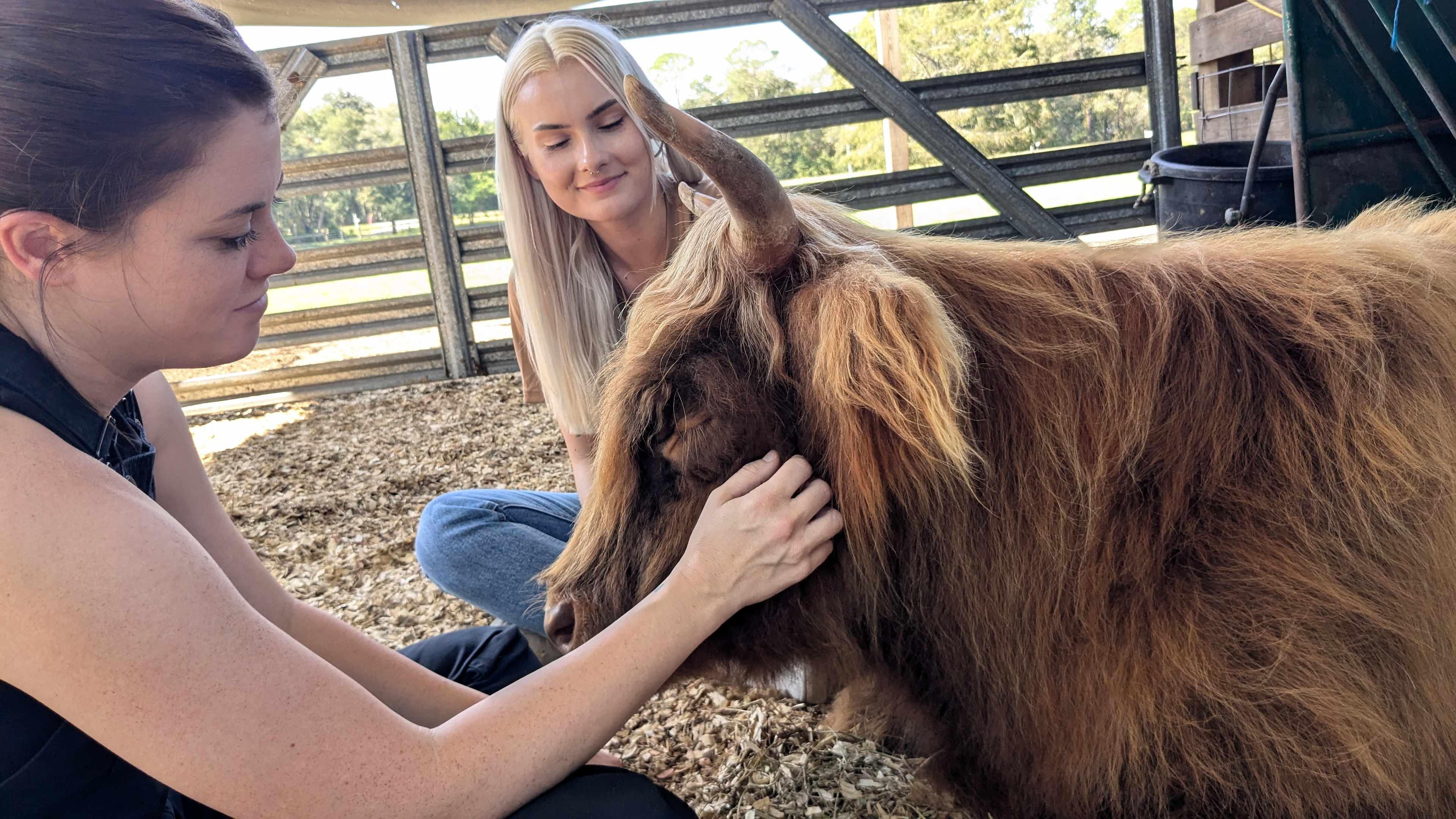 THE Farmstay for Animal Lovers!