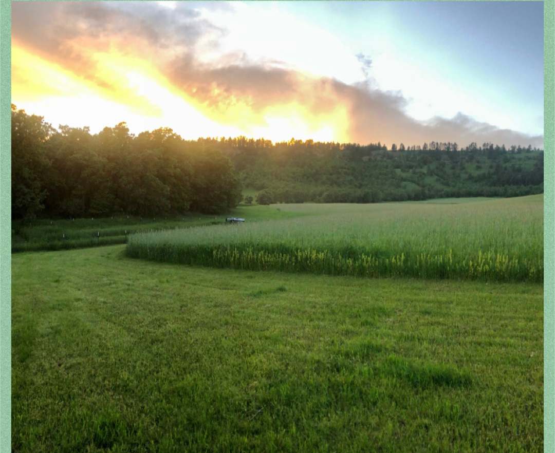 Hidden Acres