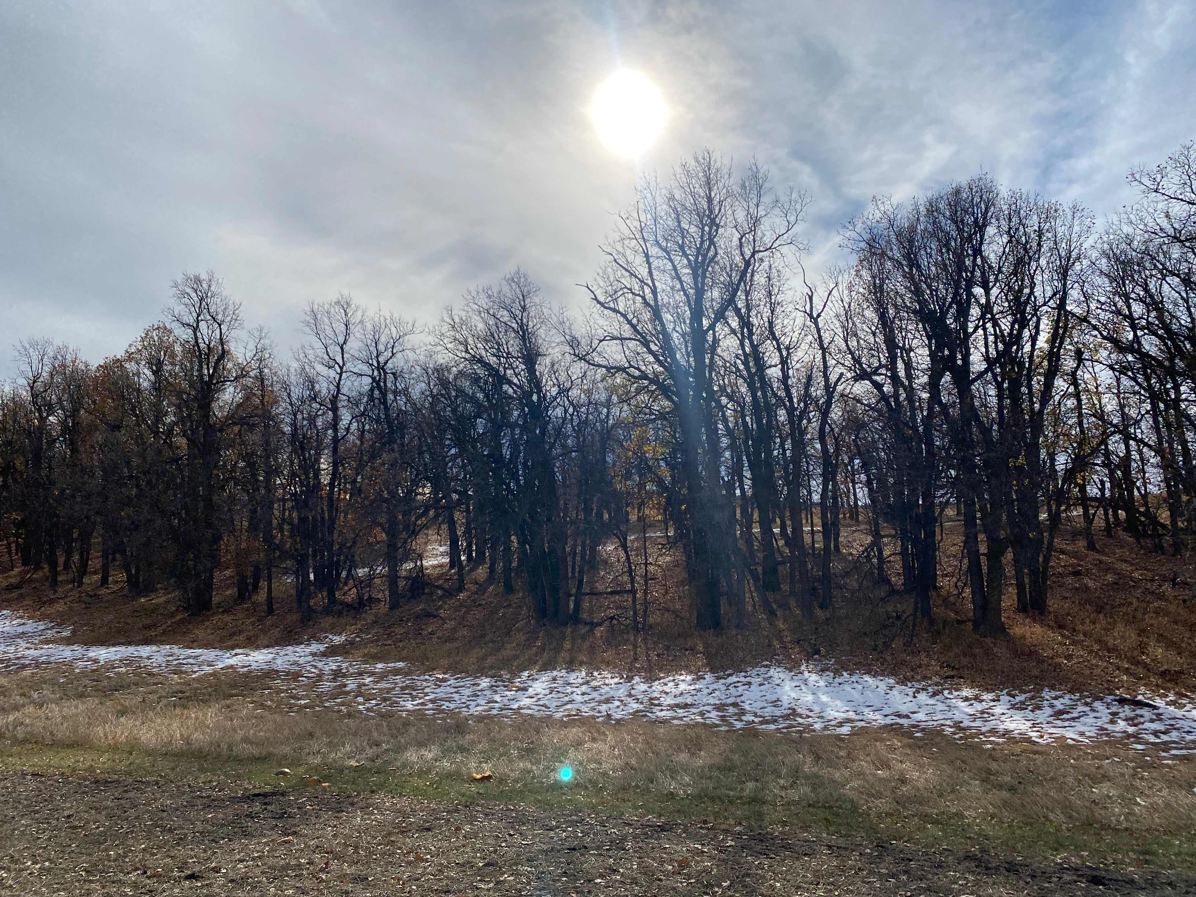 Picture of the site