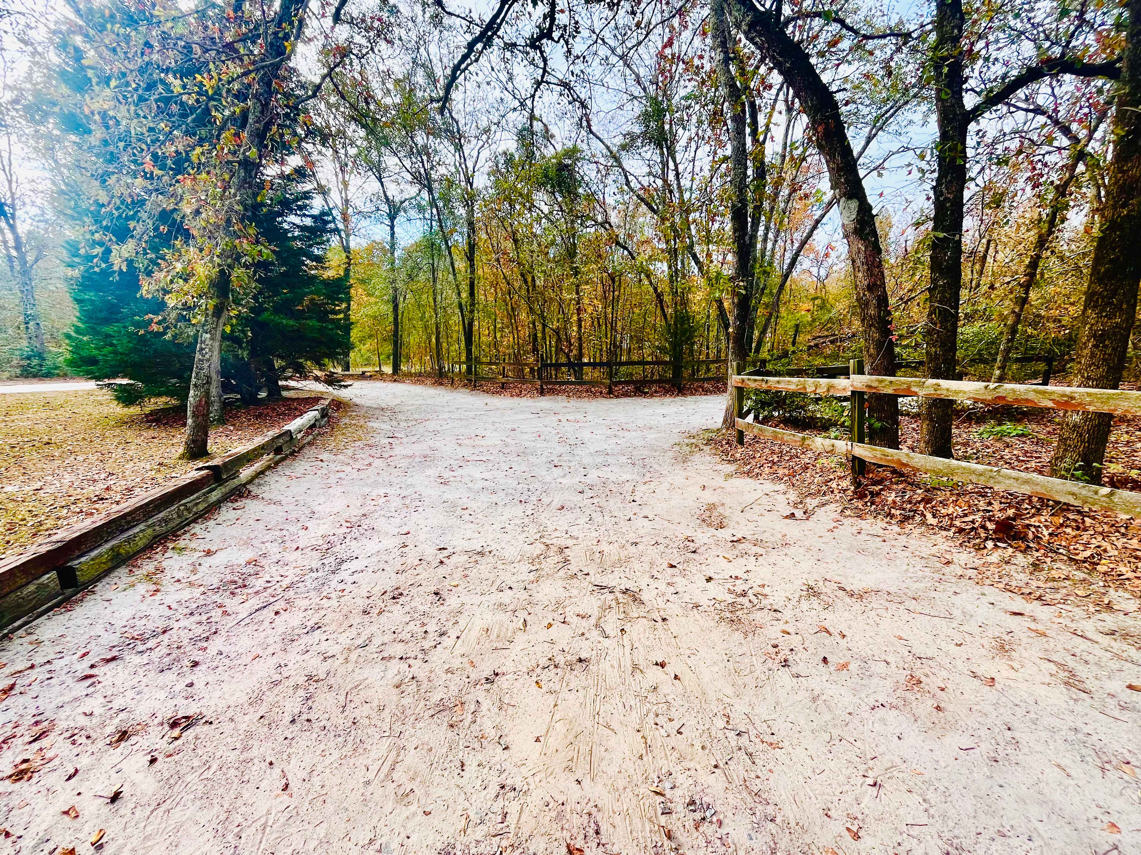Driveway leading to the RV site