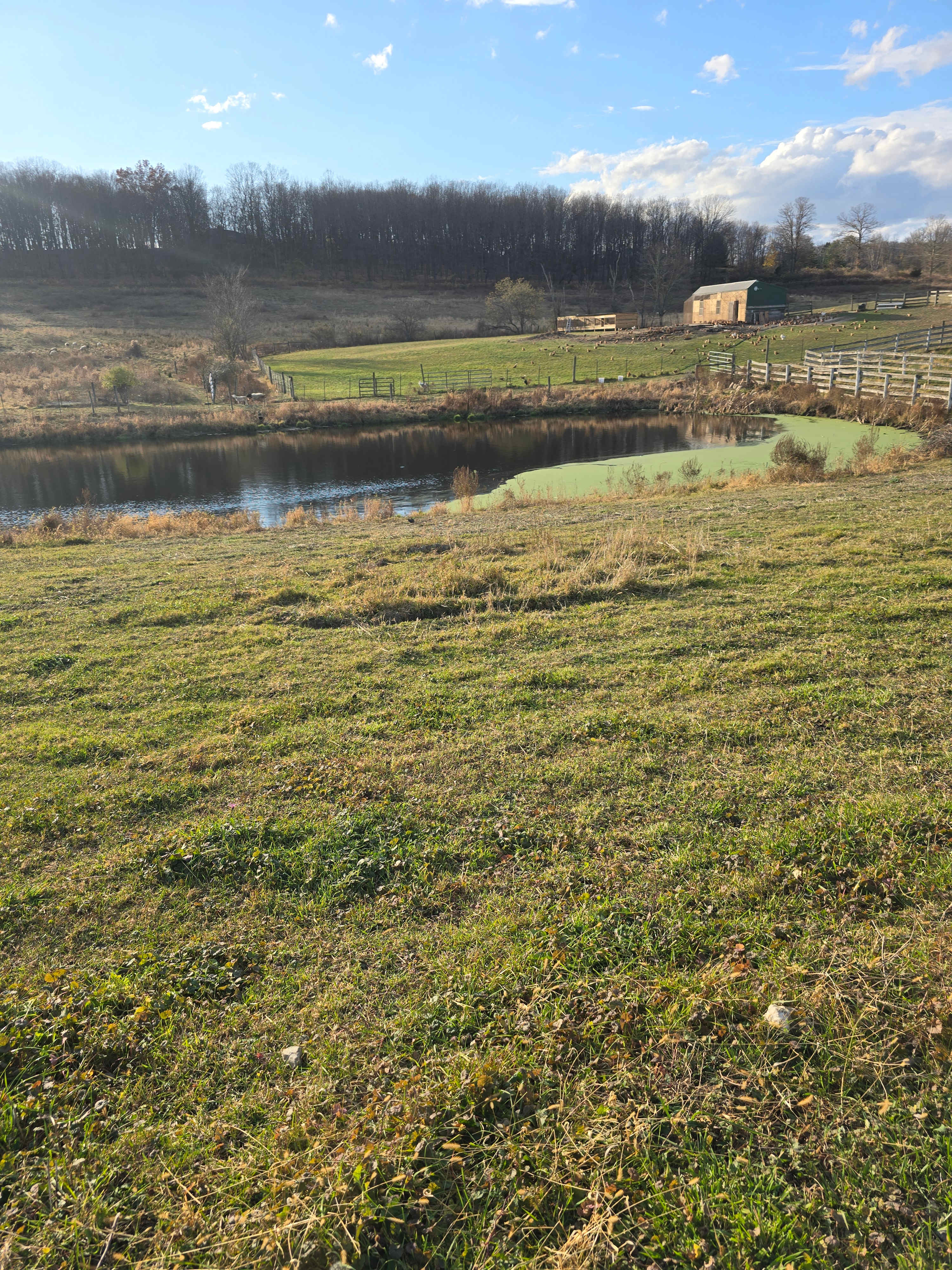 Farm Life and Countryside