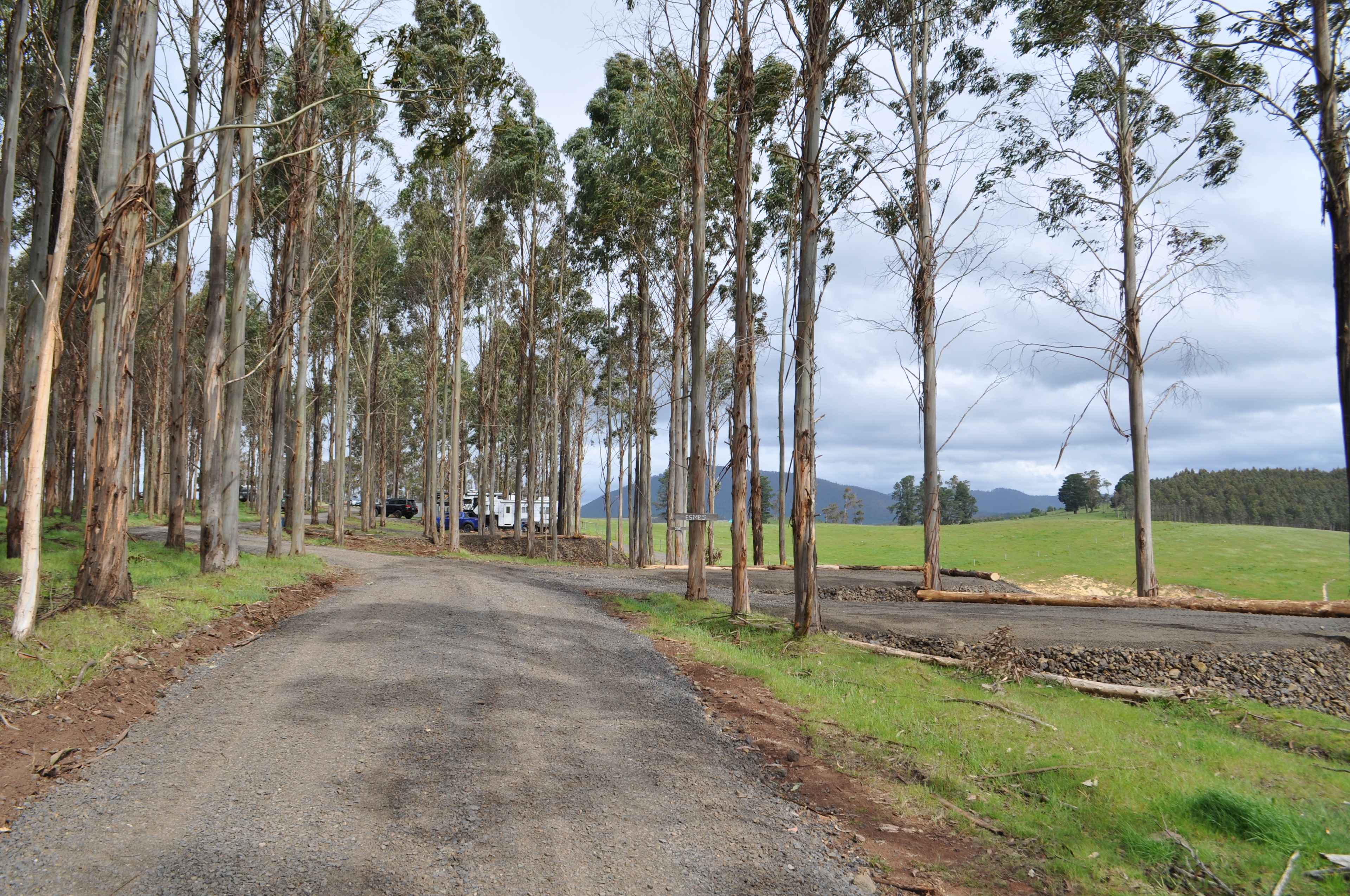 Mabel's Paddock RV Farm Stay