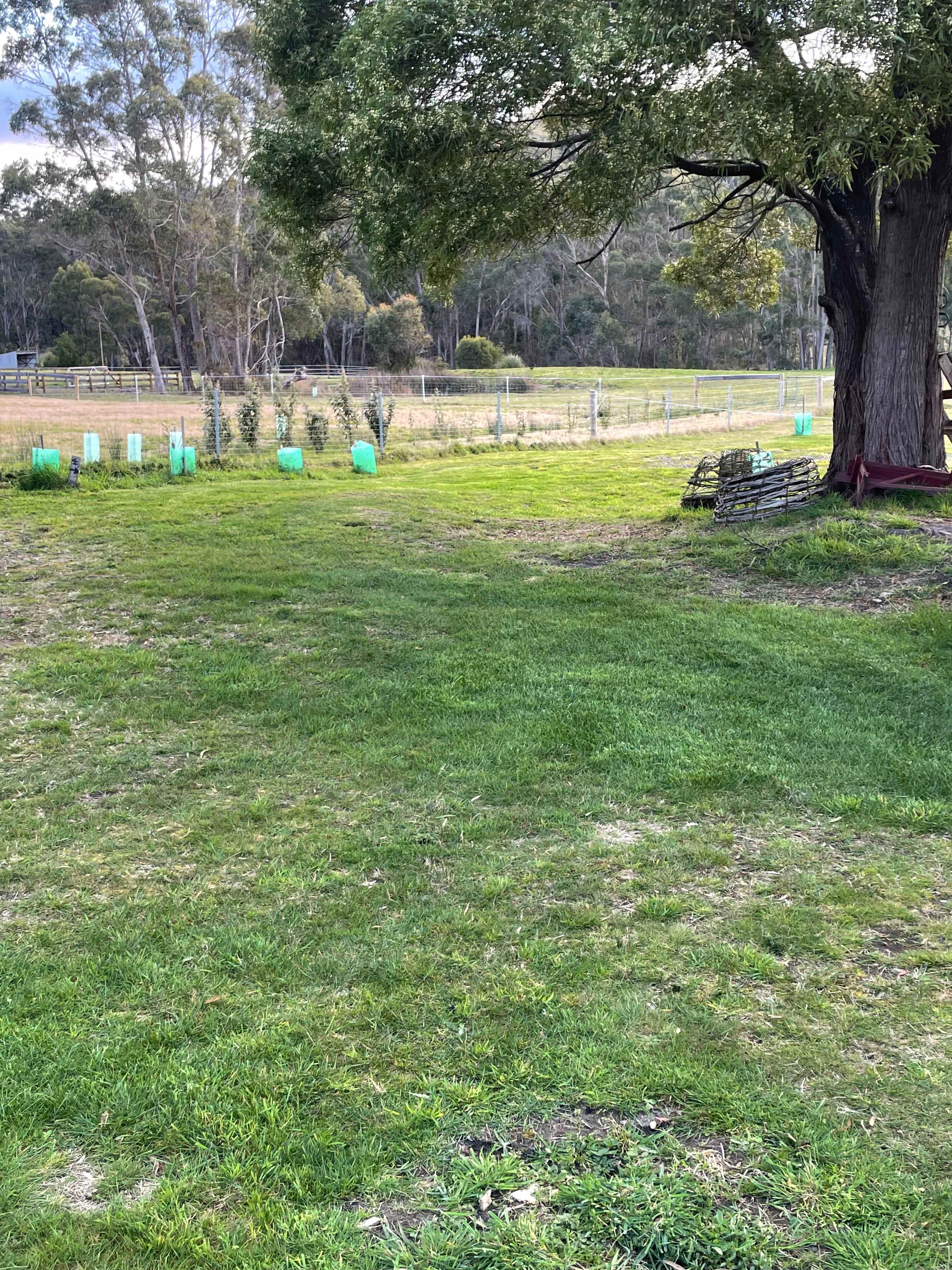 PC Campsites Taranna