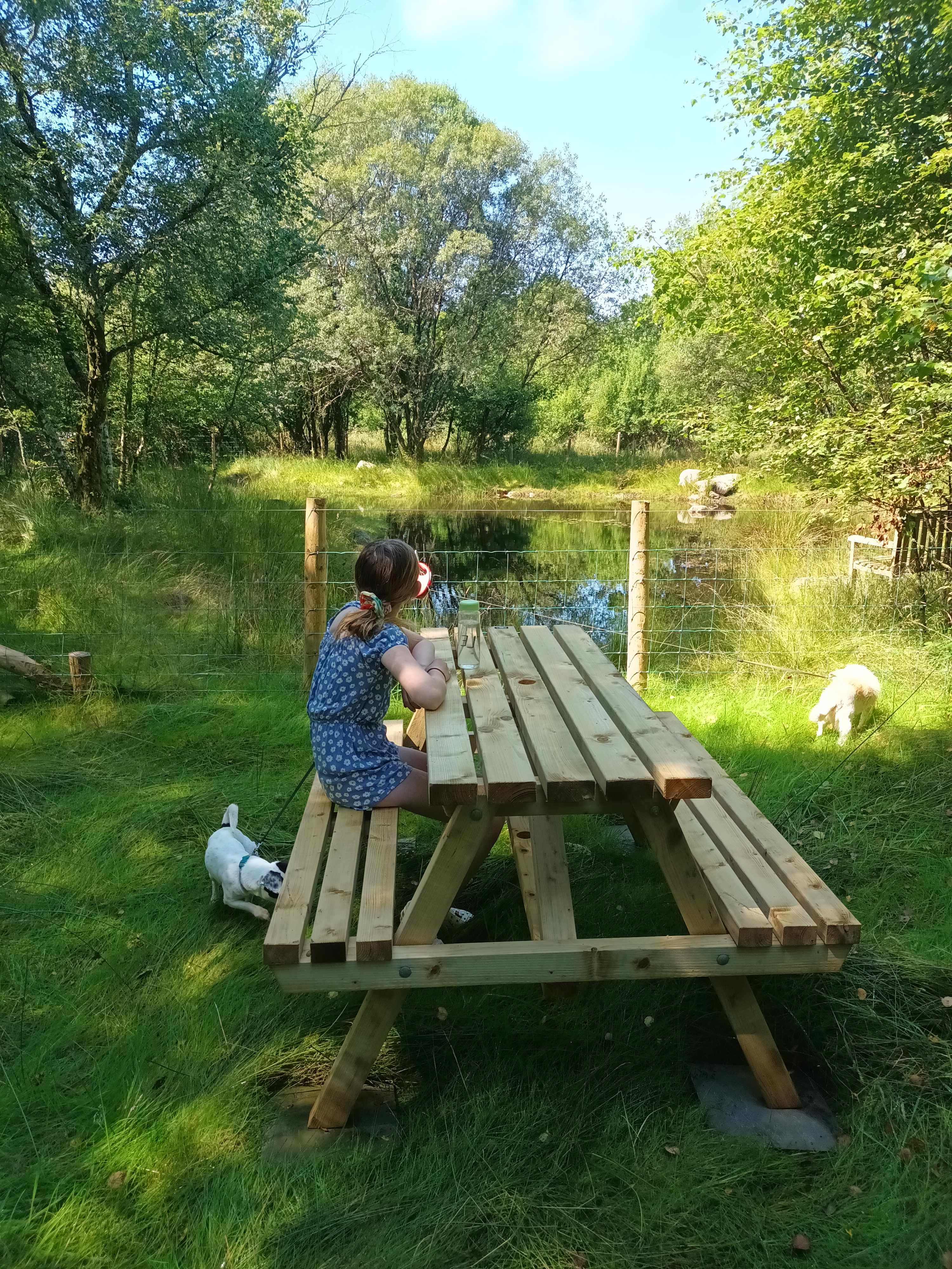 Cae Ddel Country Camping
