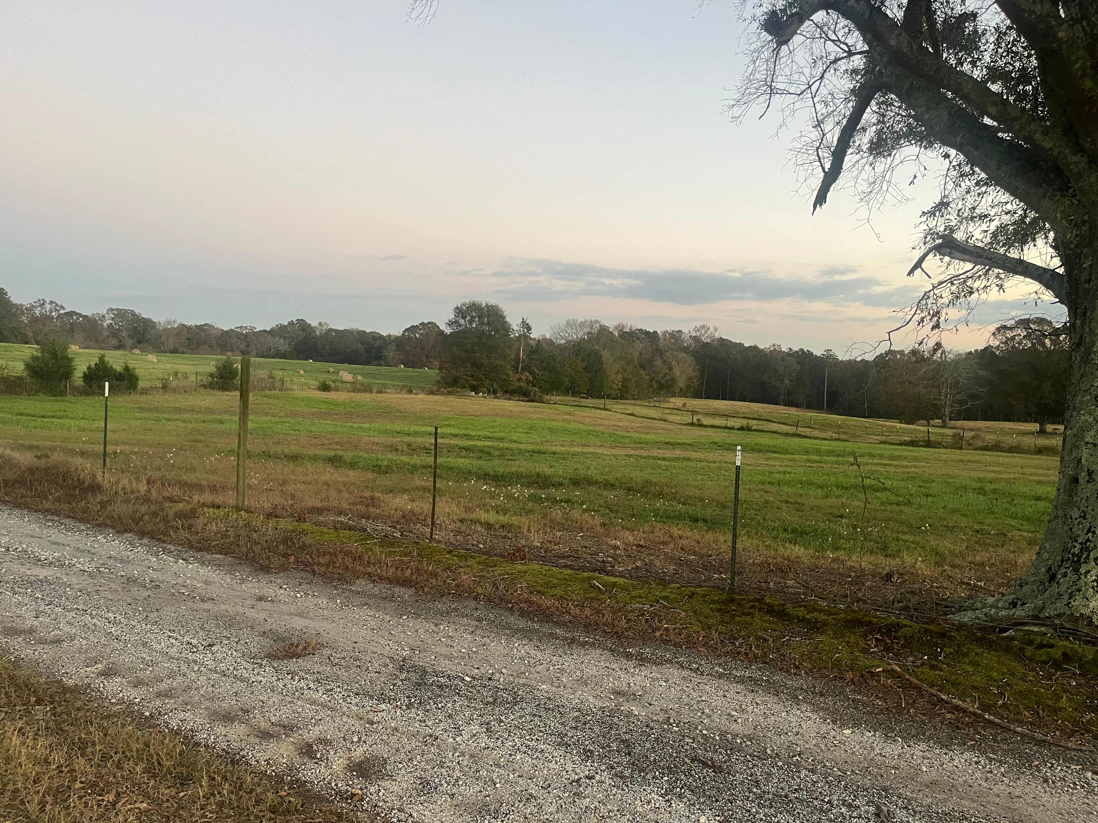 Barrett Farm