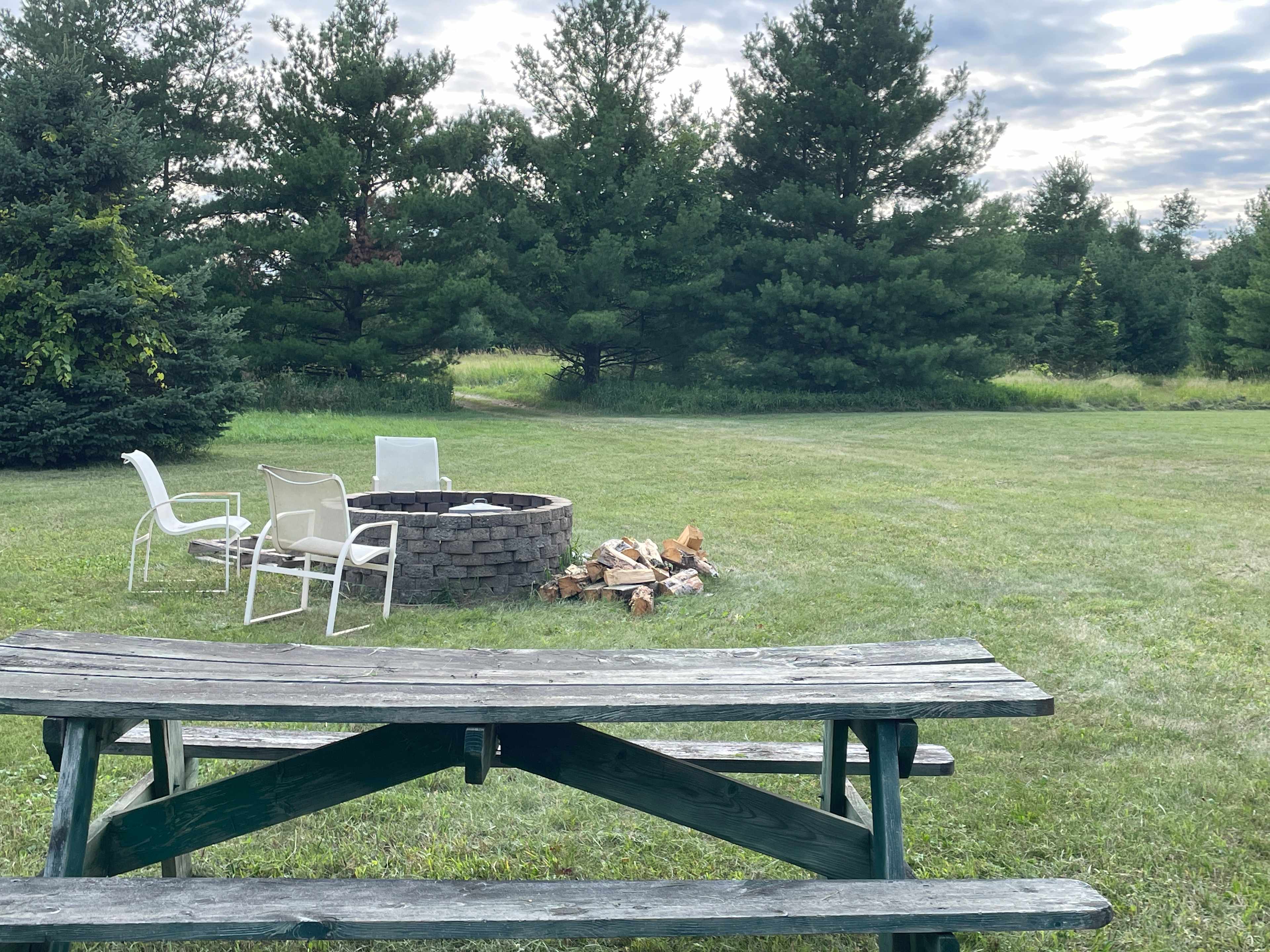 Fire pit and picnic table for guest use 