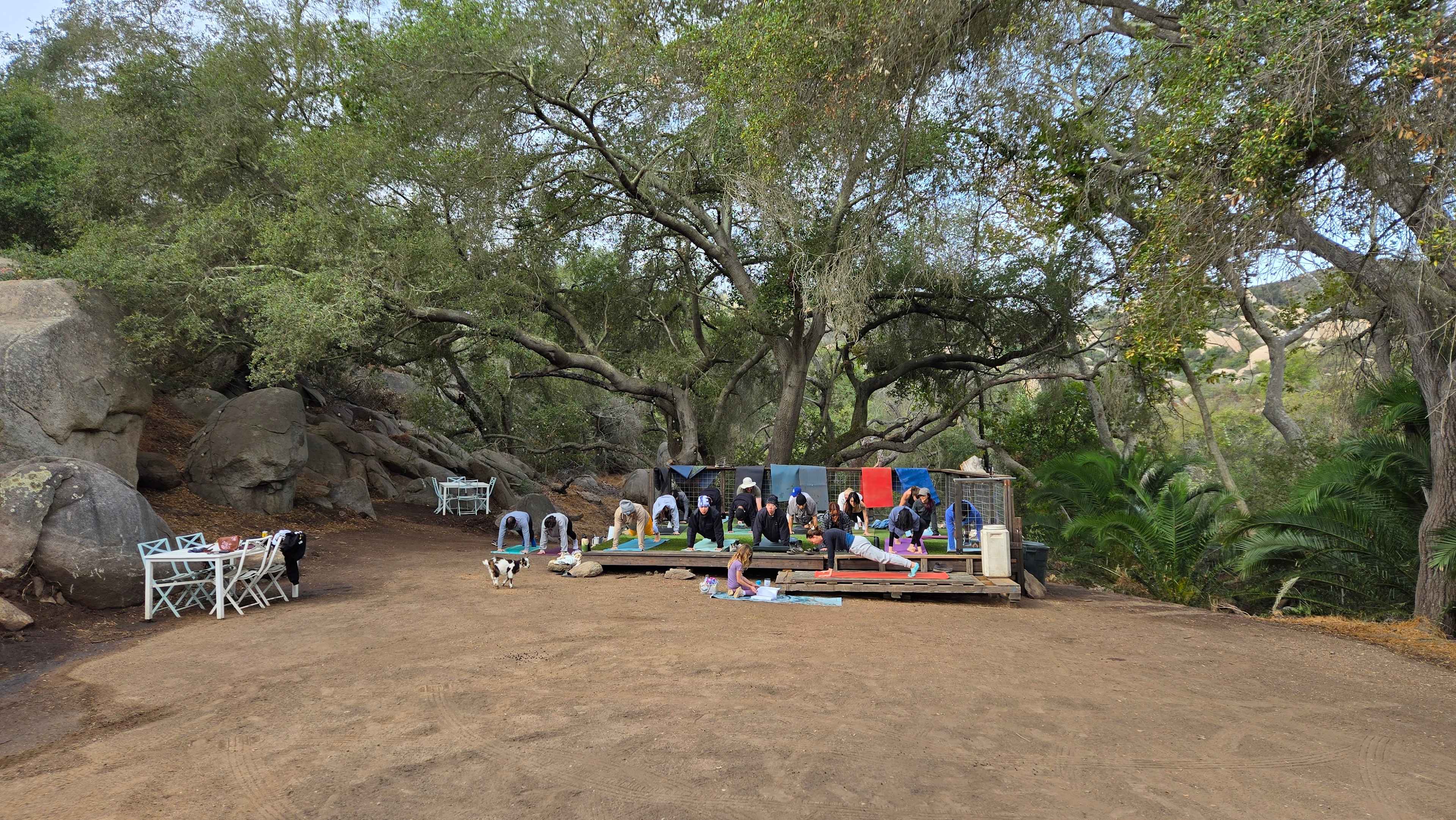 Picture of the site