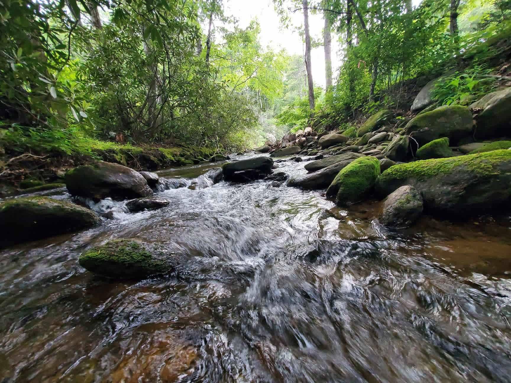 Rae’s Place - Hipcamp in Burnsville, North Carolina