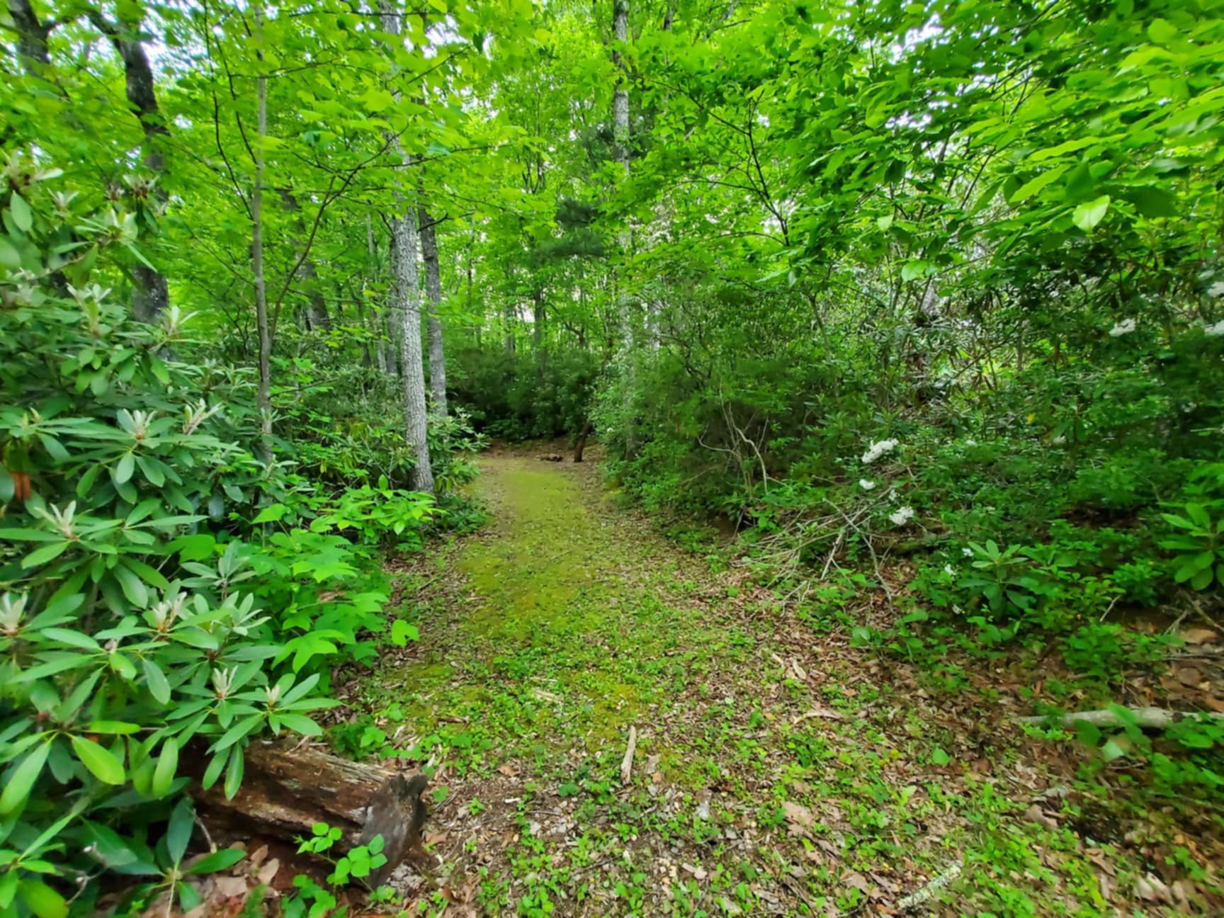 Rae’s Place - Hipcamp in Burnsville, North Carolina