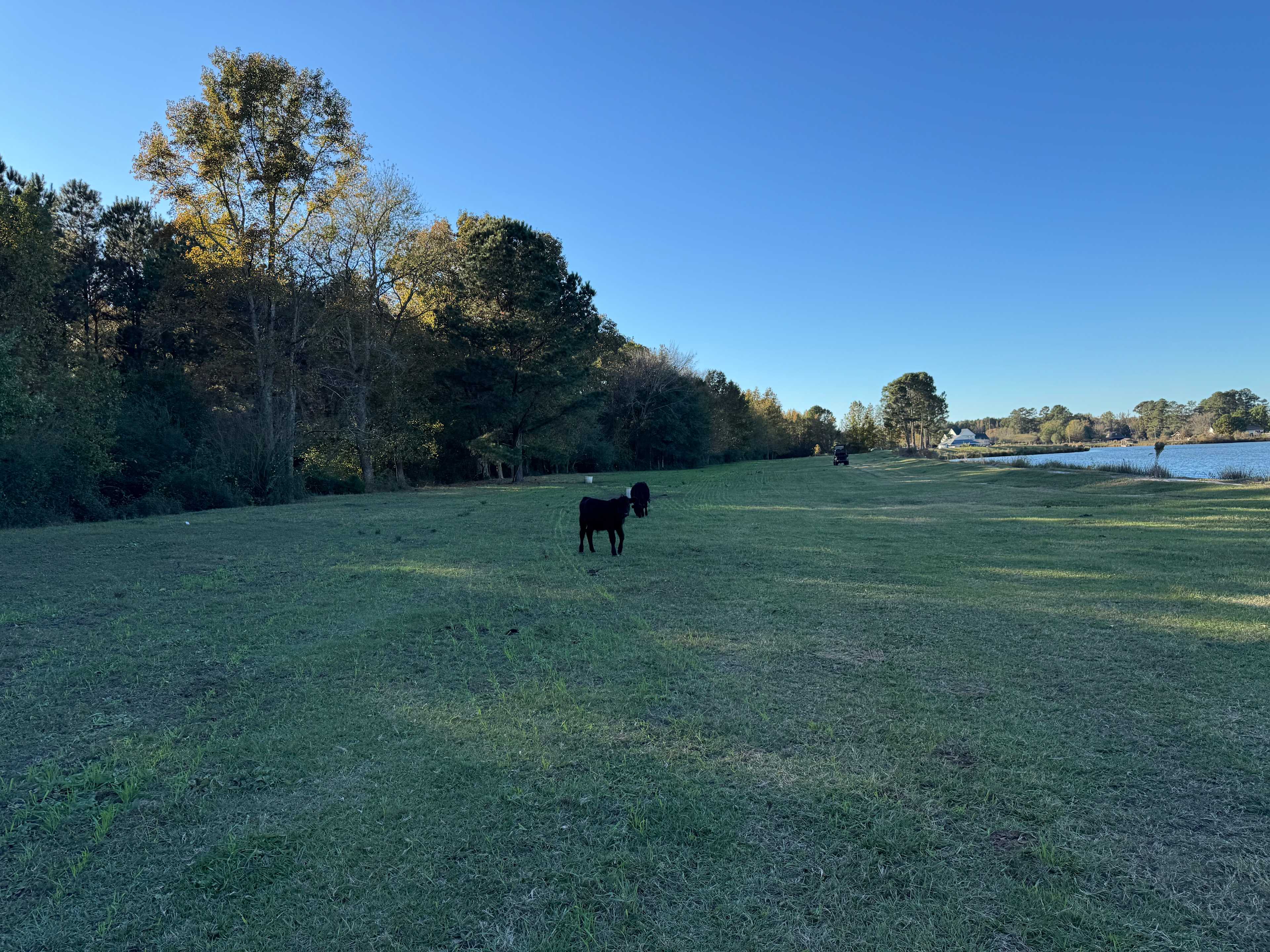 The Farm at Lowrys