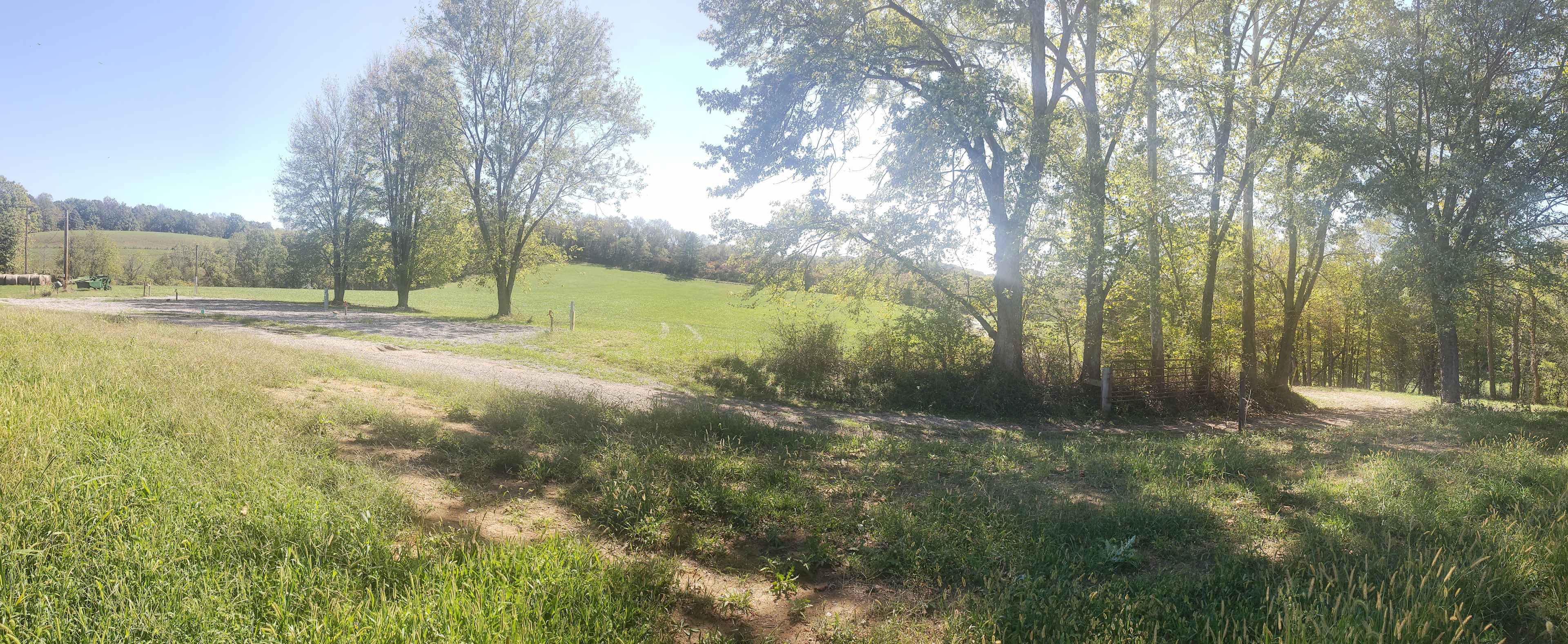 Picture of the site